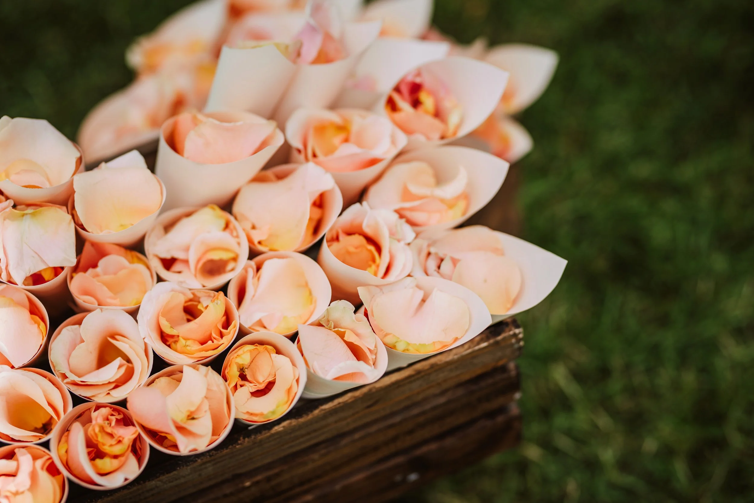 Nahaufnahme von rosa und cremefarbigen Rosenblüten, die in Papier gewickelt sind, auf einem Holzbrett, draußen auf grüner Wiese.