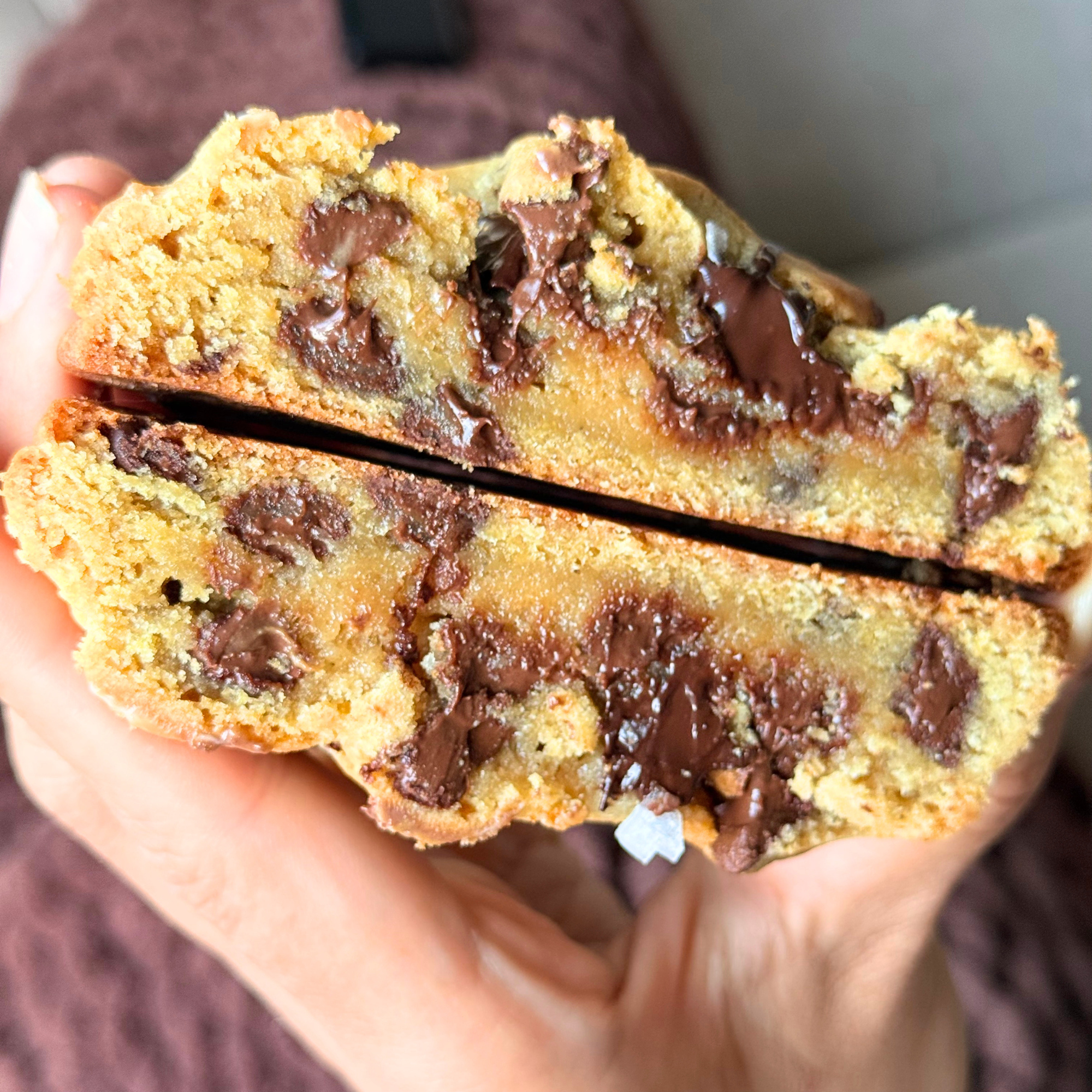 Close-up image of a person holding a partially eaten chocolate chip cookie with melted chocolate inside.