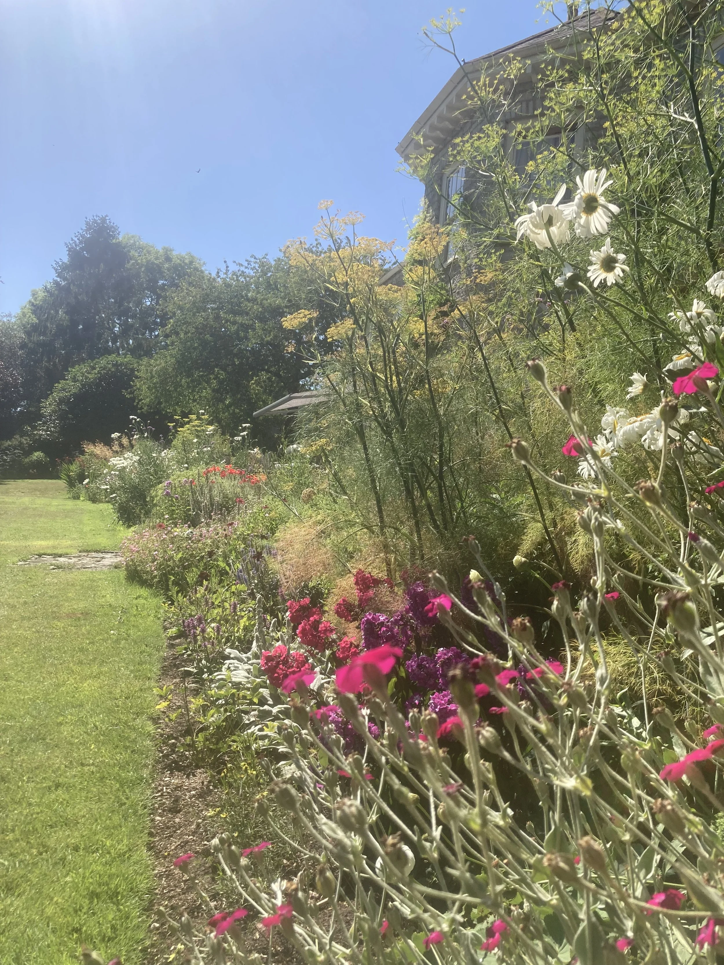 Planting designer South Gloucestshire. Garden border design. Nature friendly planting.