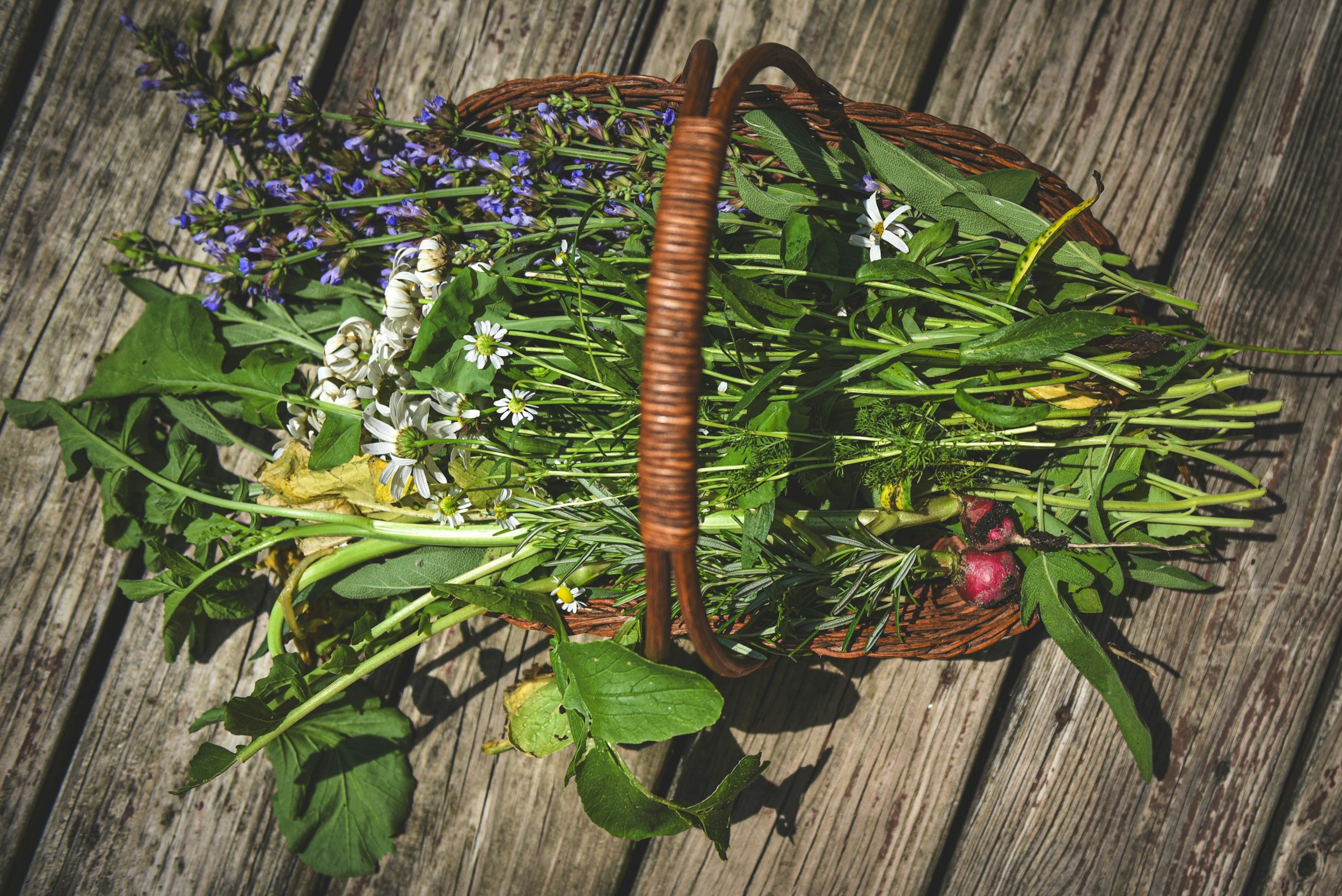 Korb mit frisch geernteten Kräutern, Wildblumen und Gemüse auf einem Holztisch