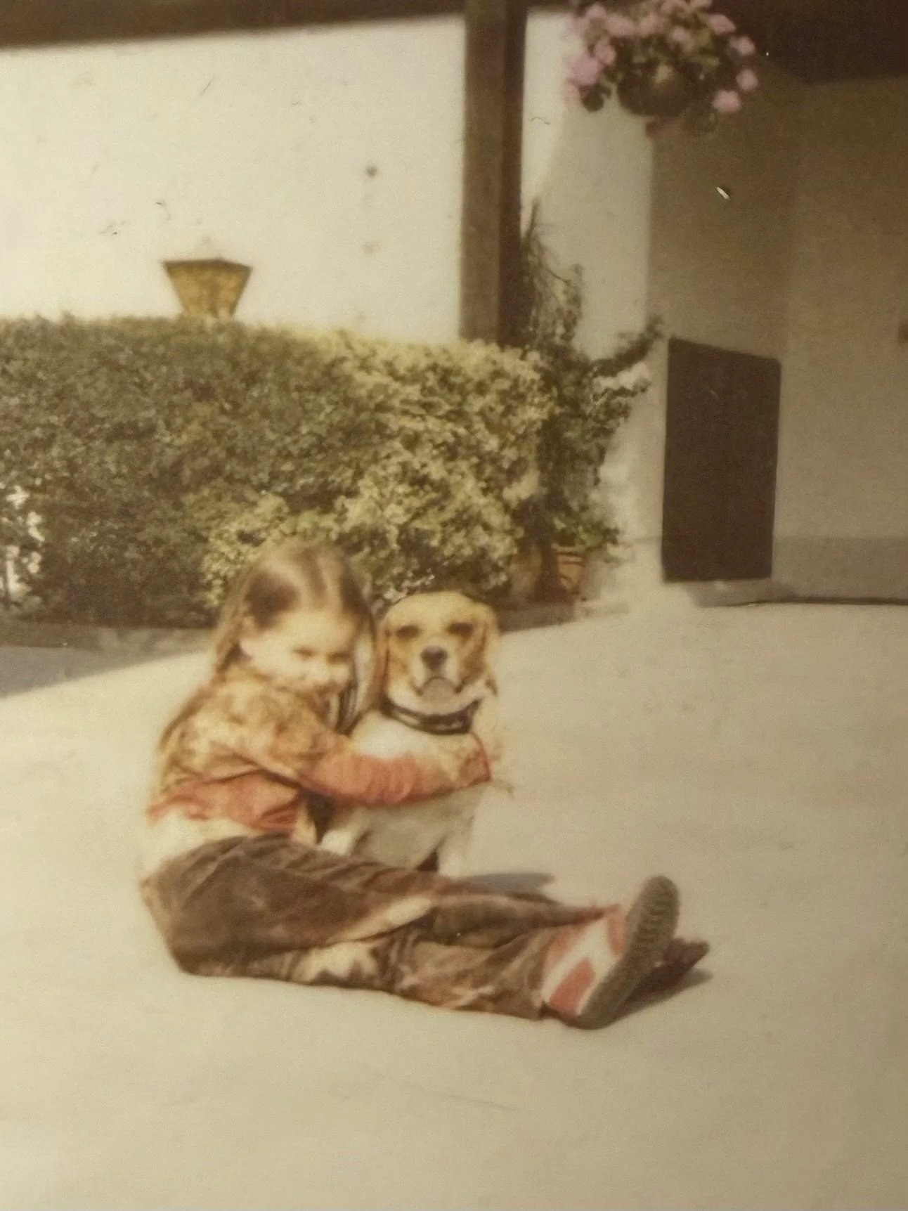 Kind umarmt einen Beagle auf dem Boden vor einer Gartenhecke und einem Blumentopf.