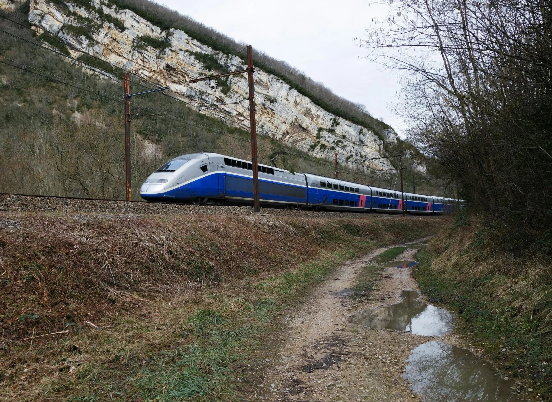 Un train à grande vitesse blanc et bleu traversant une zone rurale avec un chemin de terre, des arbres et une falaise rocheuse en arrière-plan.