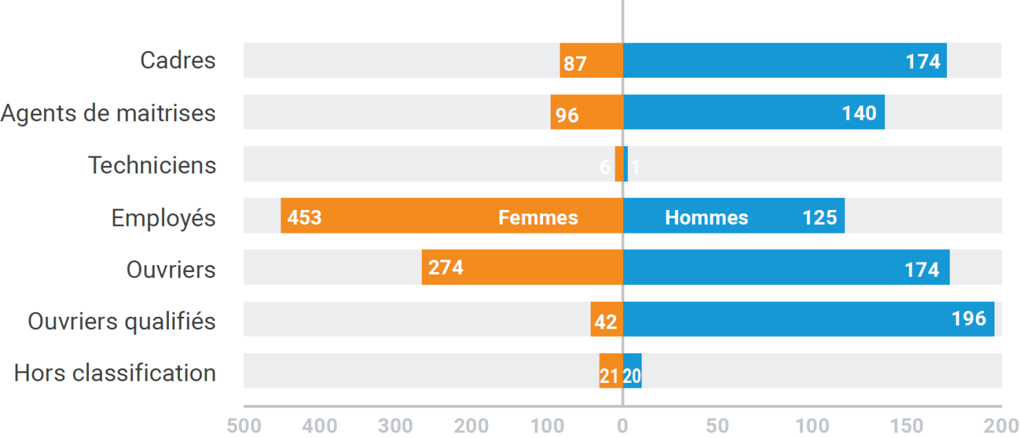 Graphique à barres illustrant différentes catégories professionnelles et leur répartition en hommes et femmes, avec des nombres pour chaque groupe. La première catégorie concerne les cadres, suivie par agents de maîtrises, techniciens, employés, ouvriers, ouvriers qualifiés, et hors classification.