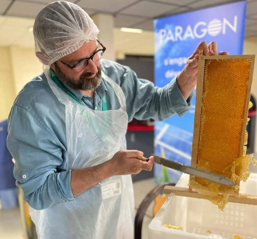 Un homme avec des lunettes, une charlotte, une blouse, et une protection en plastique, inspecte une ruche avec du miel.