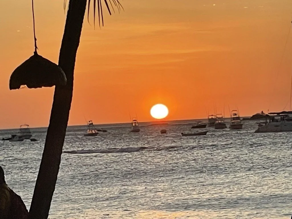 Palm trees at sunset in Tamarindo, Guanacaste, Costa Rica
