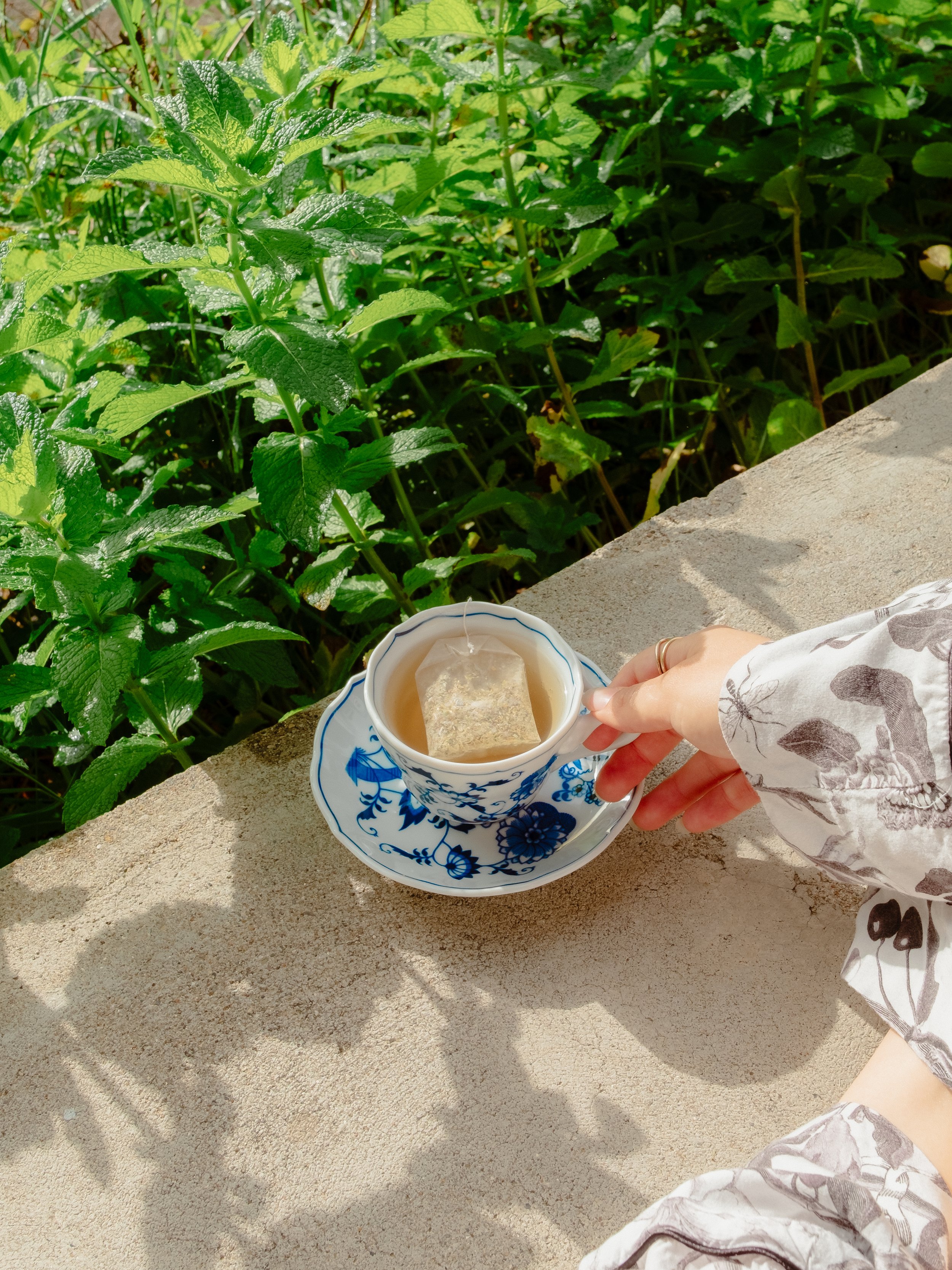 A person holding a blue and white ceramic cup with a large ice cube inside, resting on a decorative matching saucer, outdoors on a stone surface. Green bushy plants are in the background.