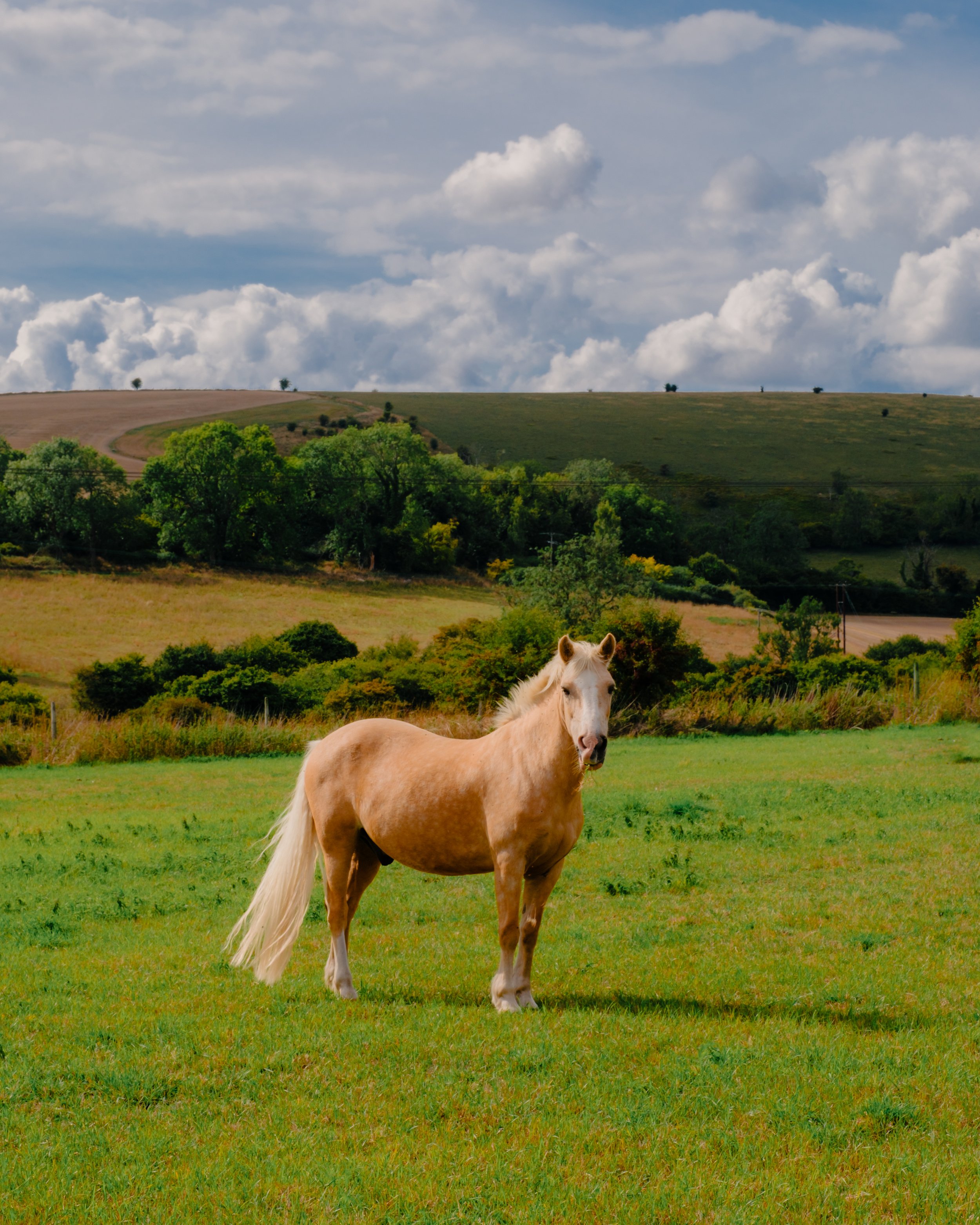 DSCF1425.jpg