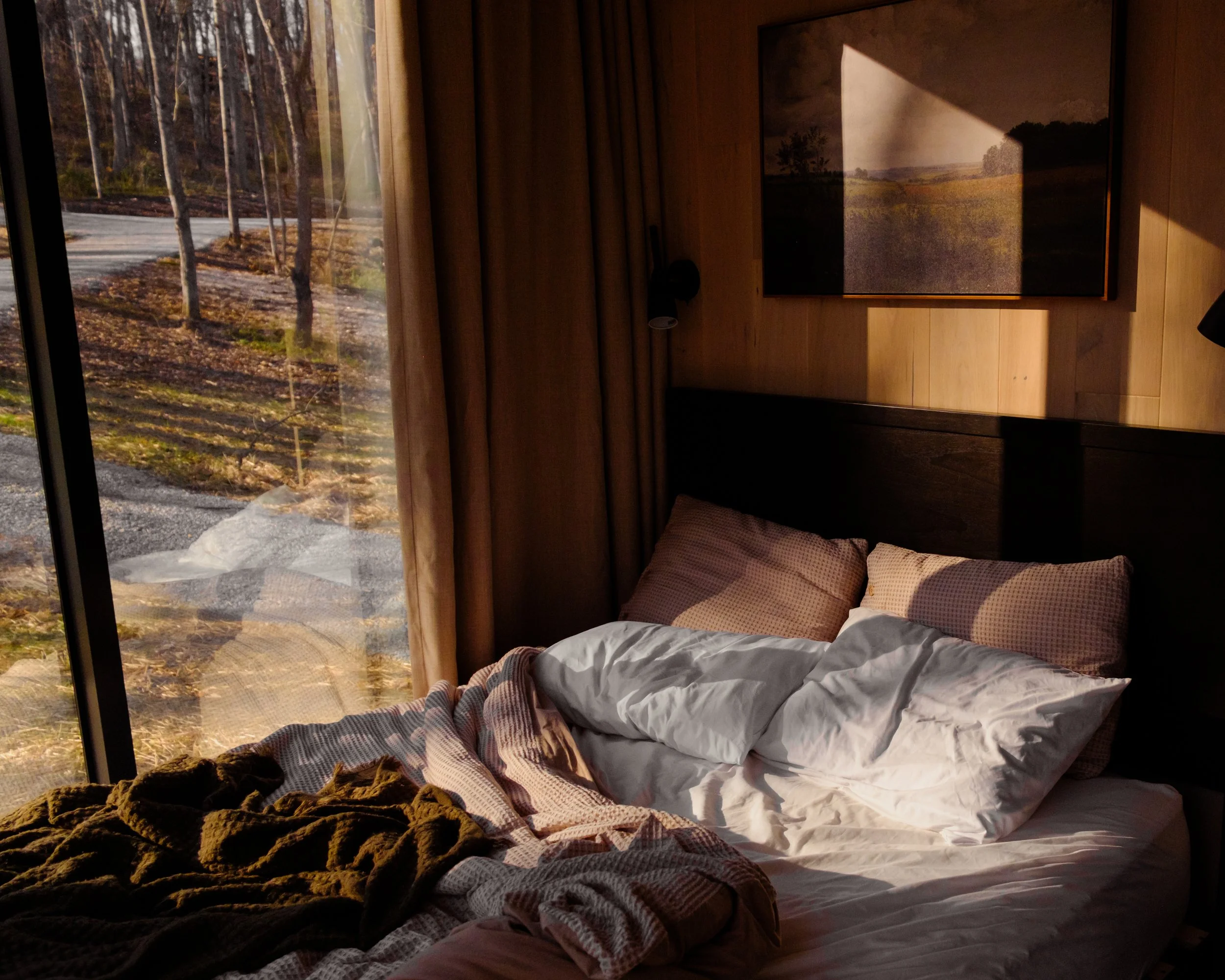 A cozy bedroom with a large window showing a wooded outdoor scene, featuring trees and a dirt path. The bed is unmade with a checkered blanket and white linens. A framed landscape painting hangs on a wooden wall above the bed, and warm sunlight filte