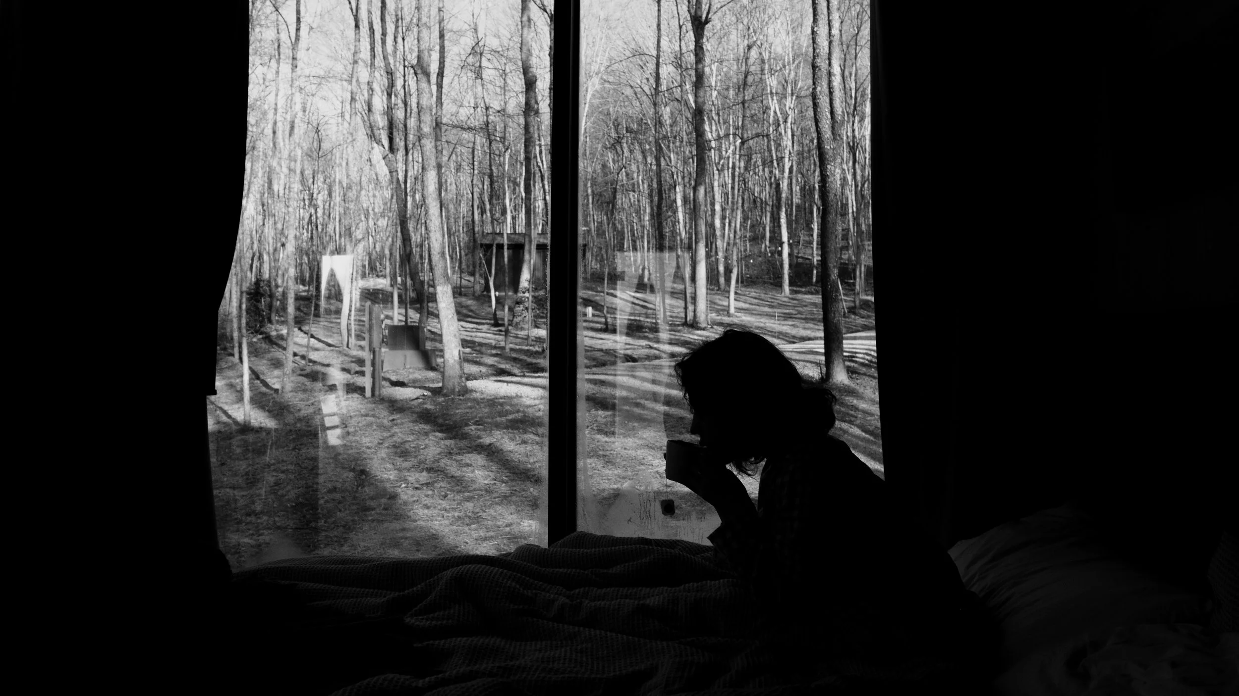 Person taking a photo of a forest through a window, seen in reflection from inside a dark room.