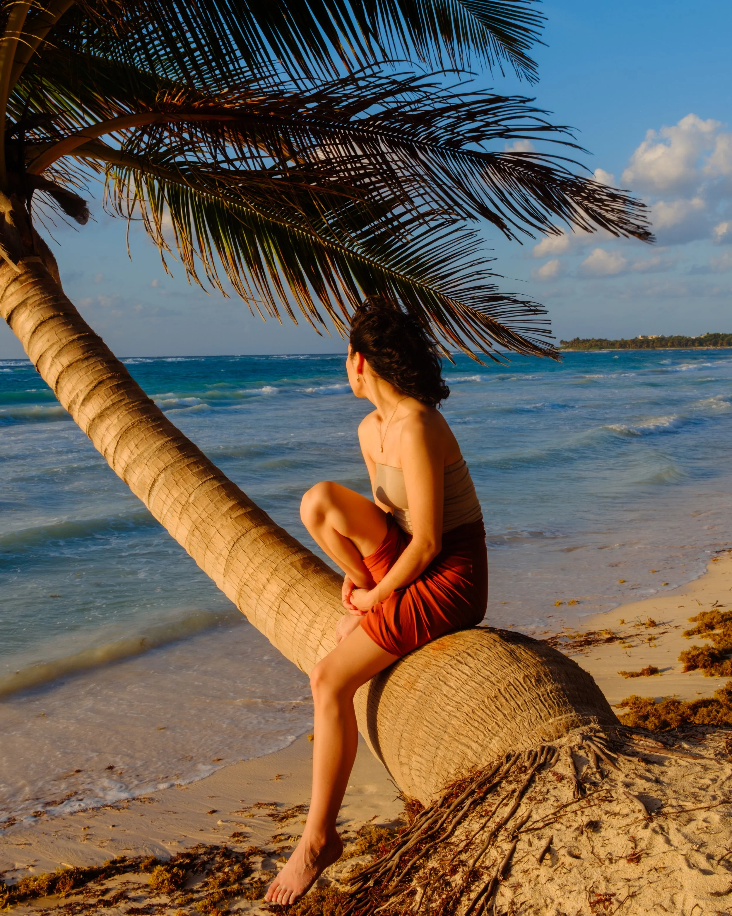 DSCF4813.jpg