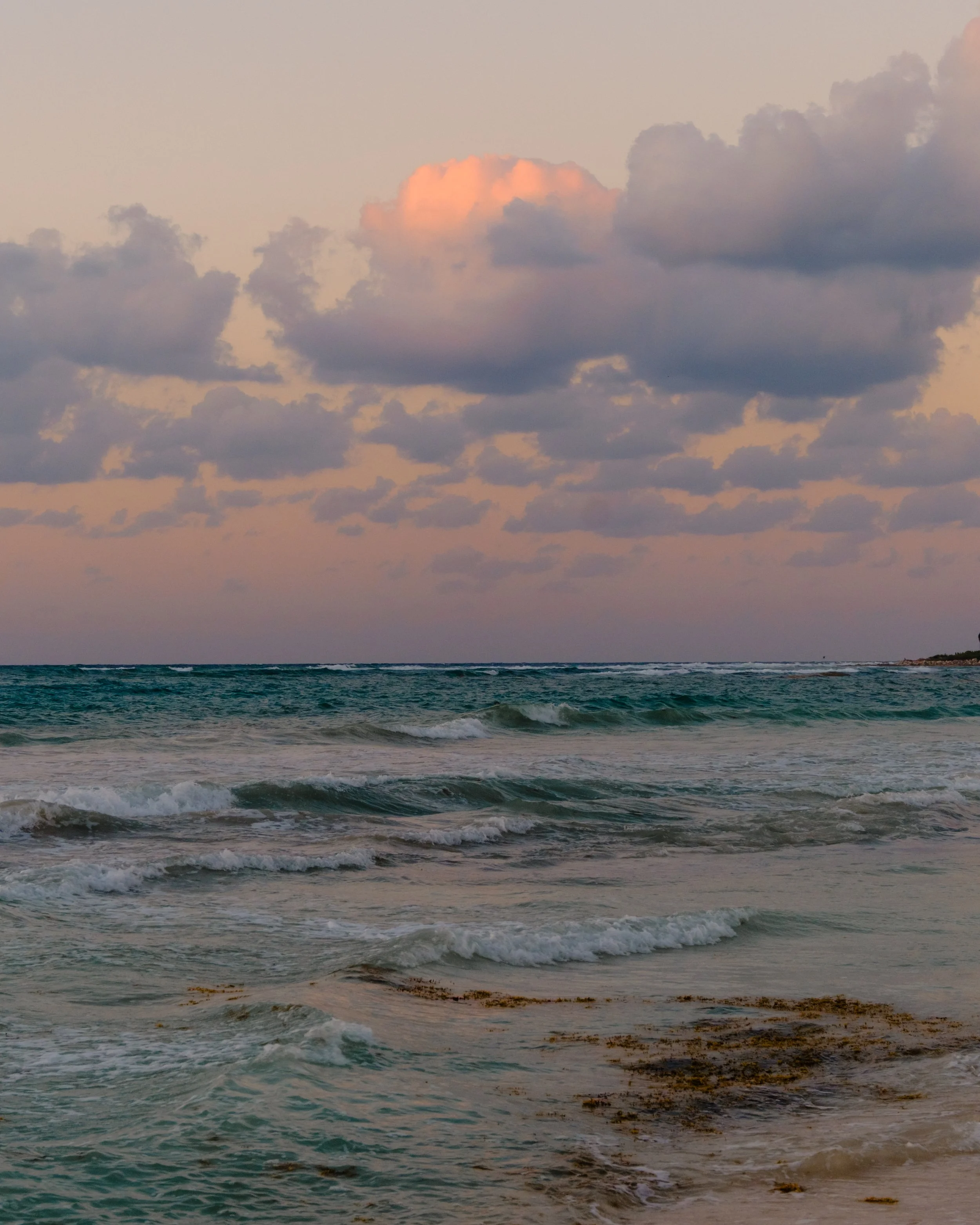 DSCF4496.jpg
