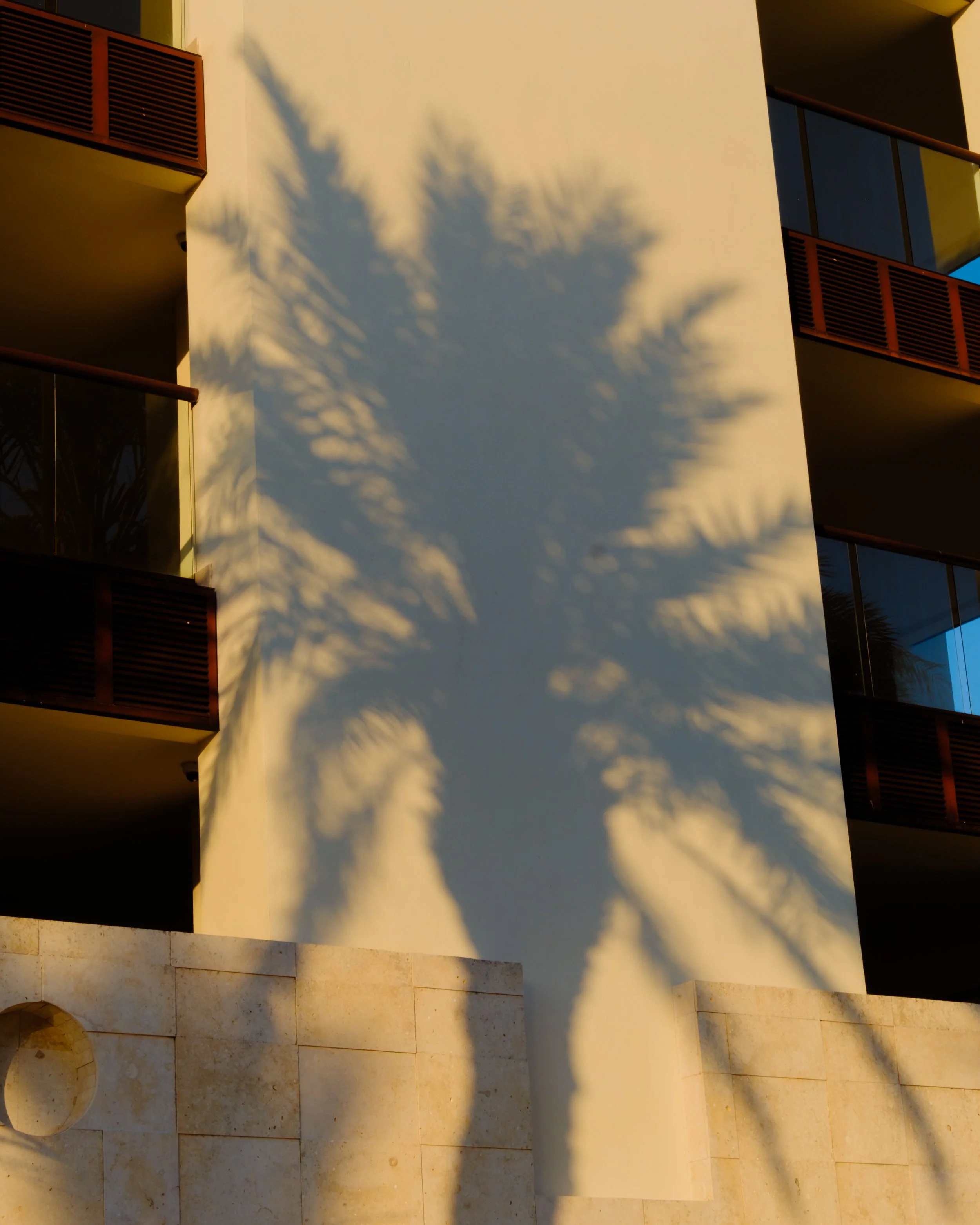 DSCF4082.jpg