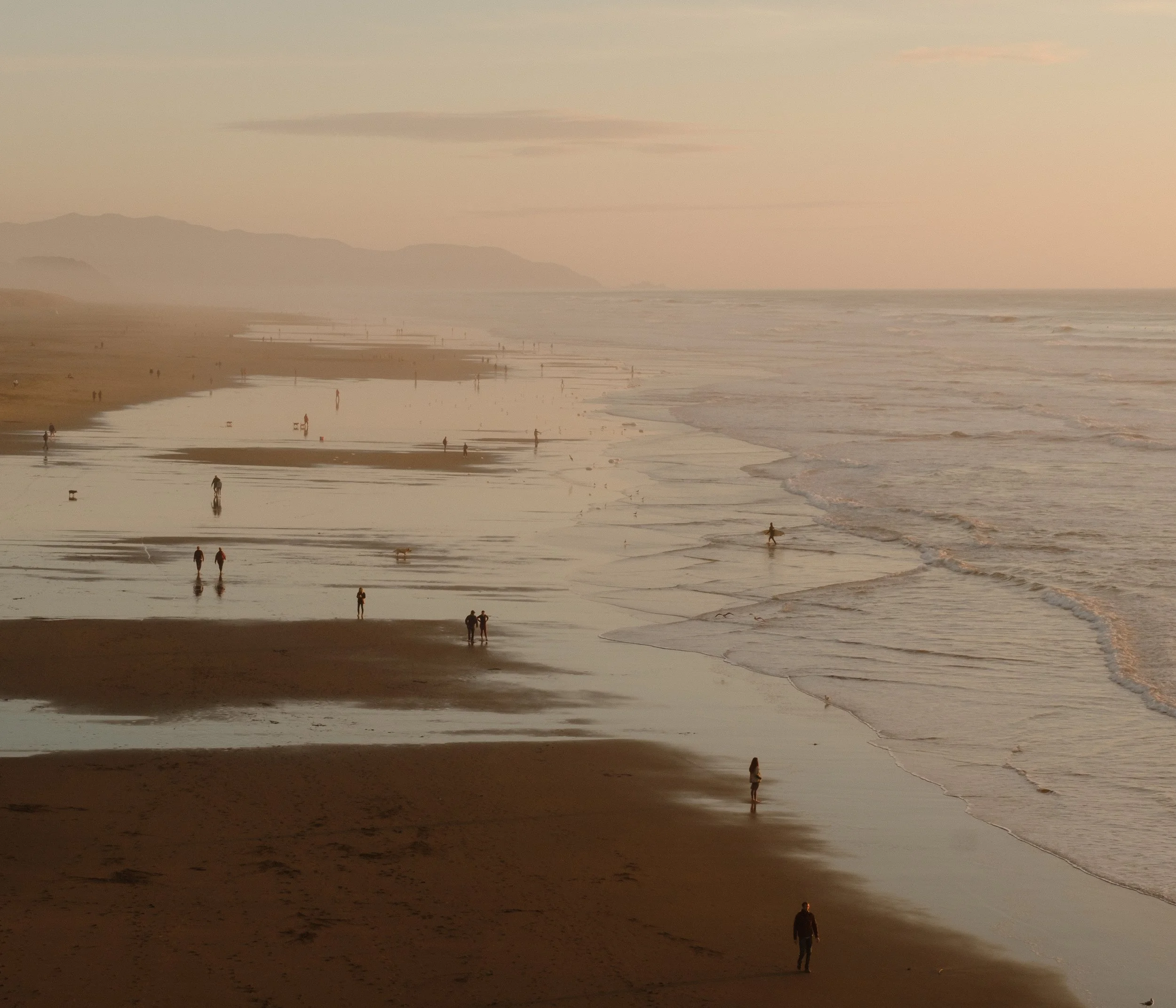 DSCF5796.jpg