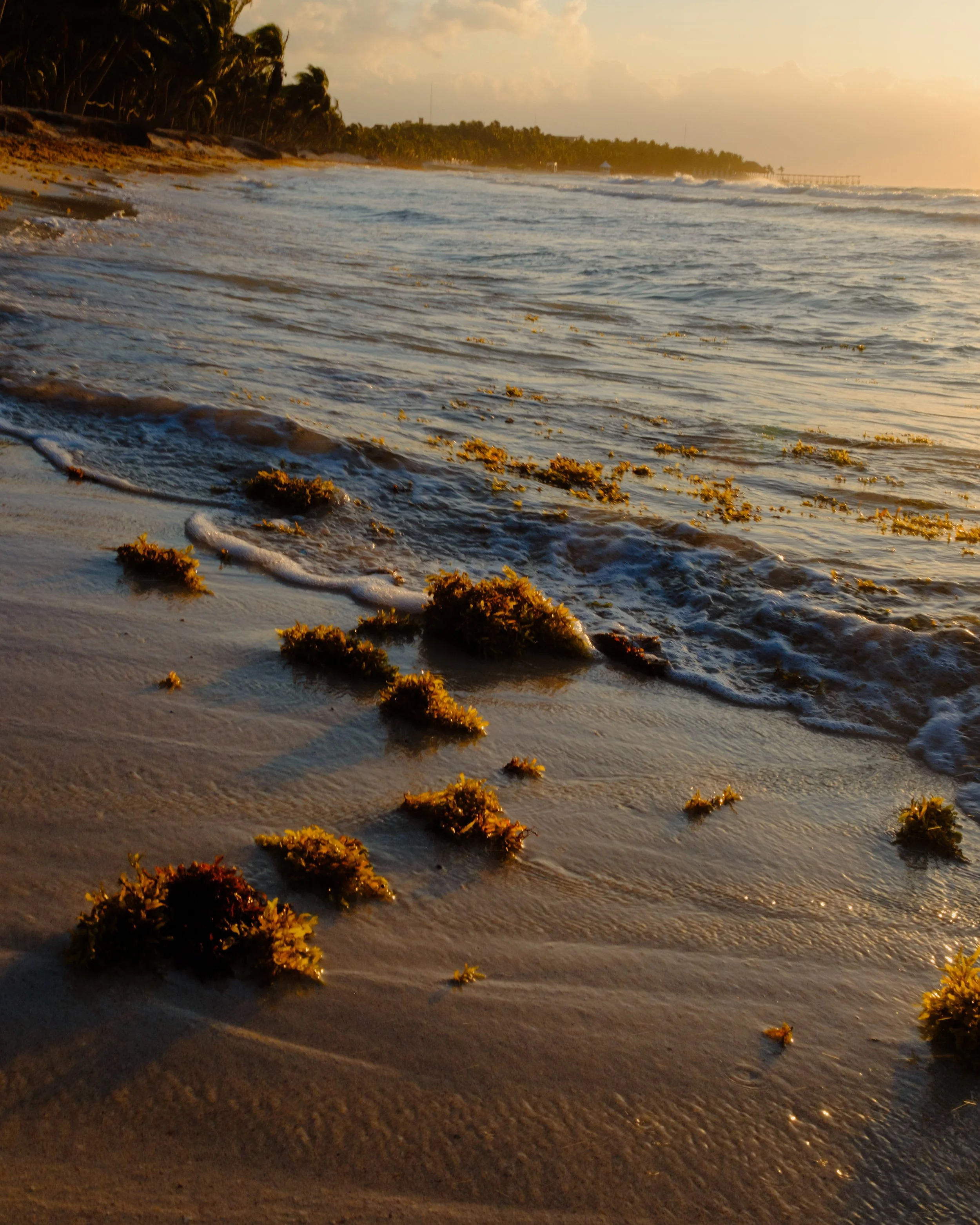 DSCF4715.jpg