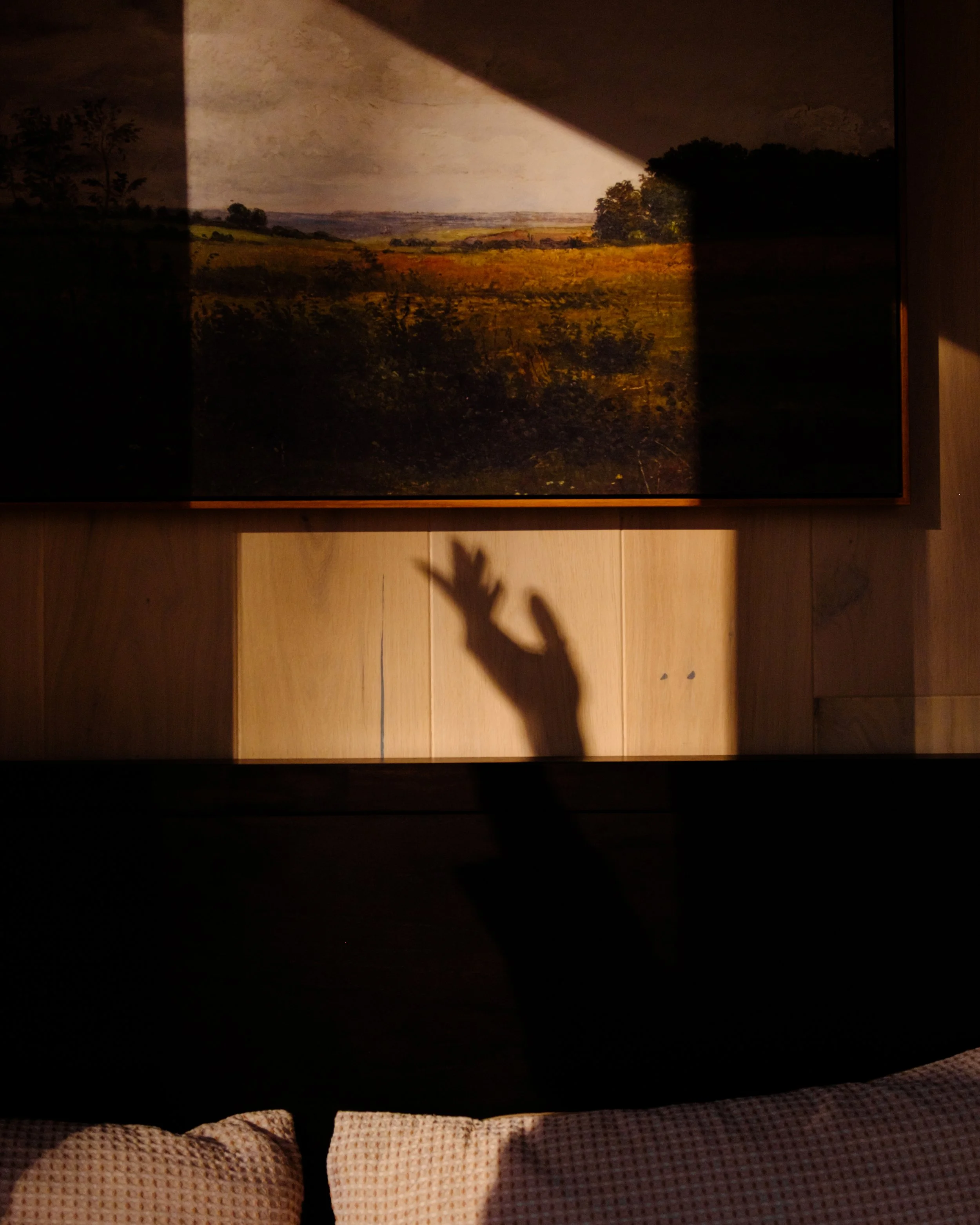 Projection of a landscape painting on a wall, with visible trees, open fields, and a cloudy sky, shadowed by a person taking the photo.