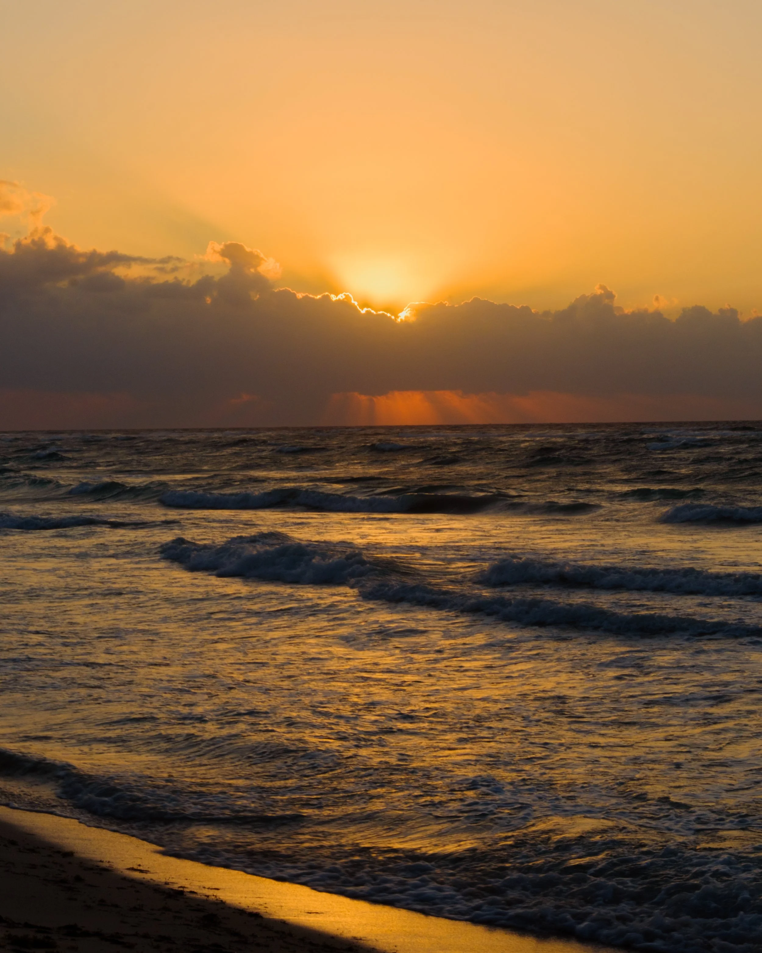 DSCF4573.jpg