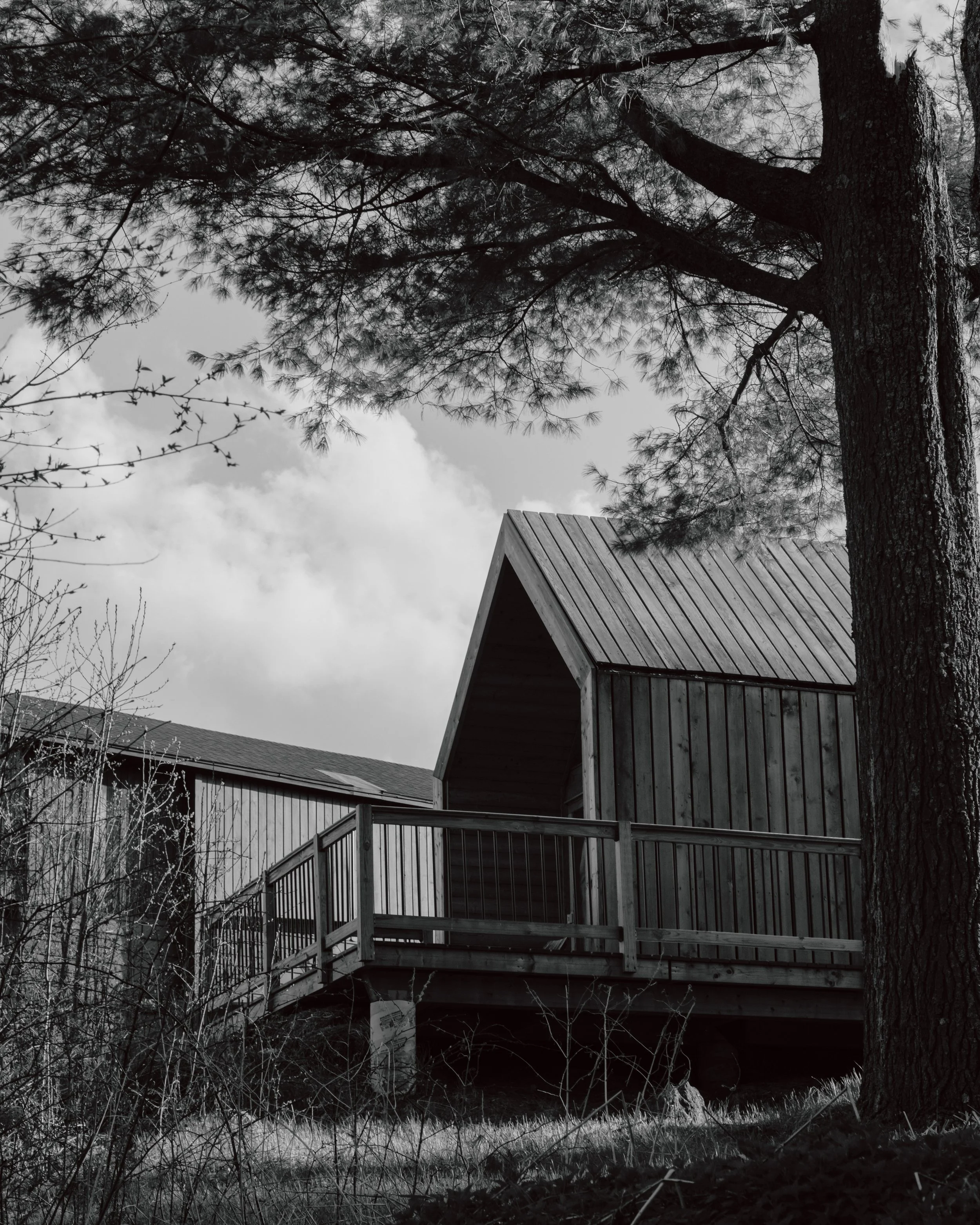 Black and white photo of a house with a deck, tree branches and a cloudy sky.