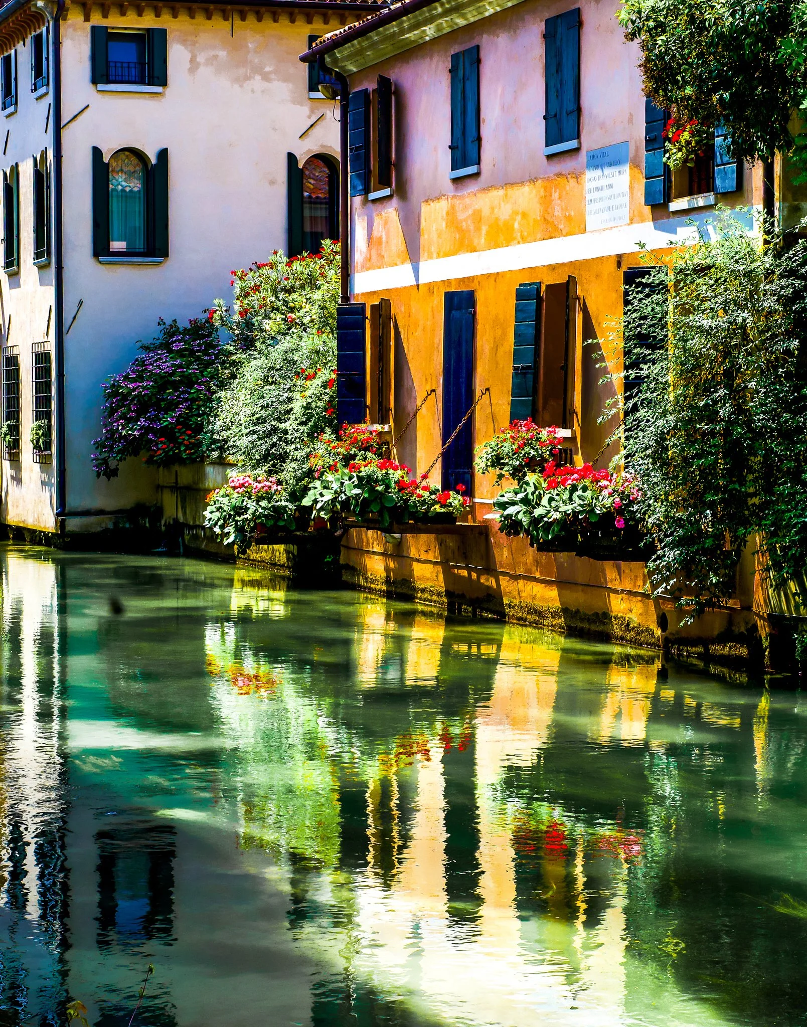 Canal Reflection - Treviso, Italy