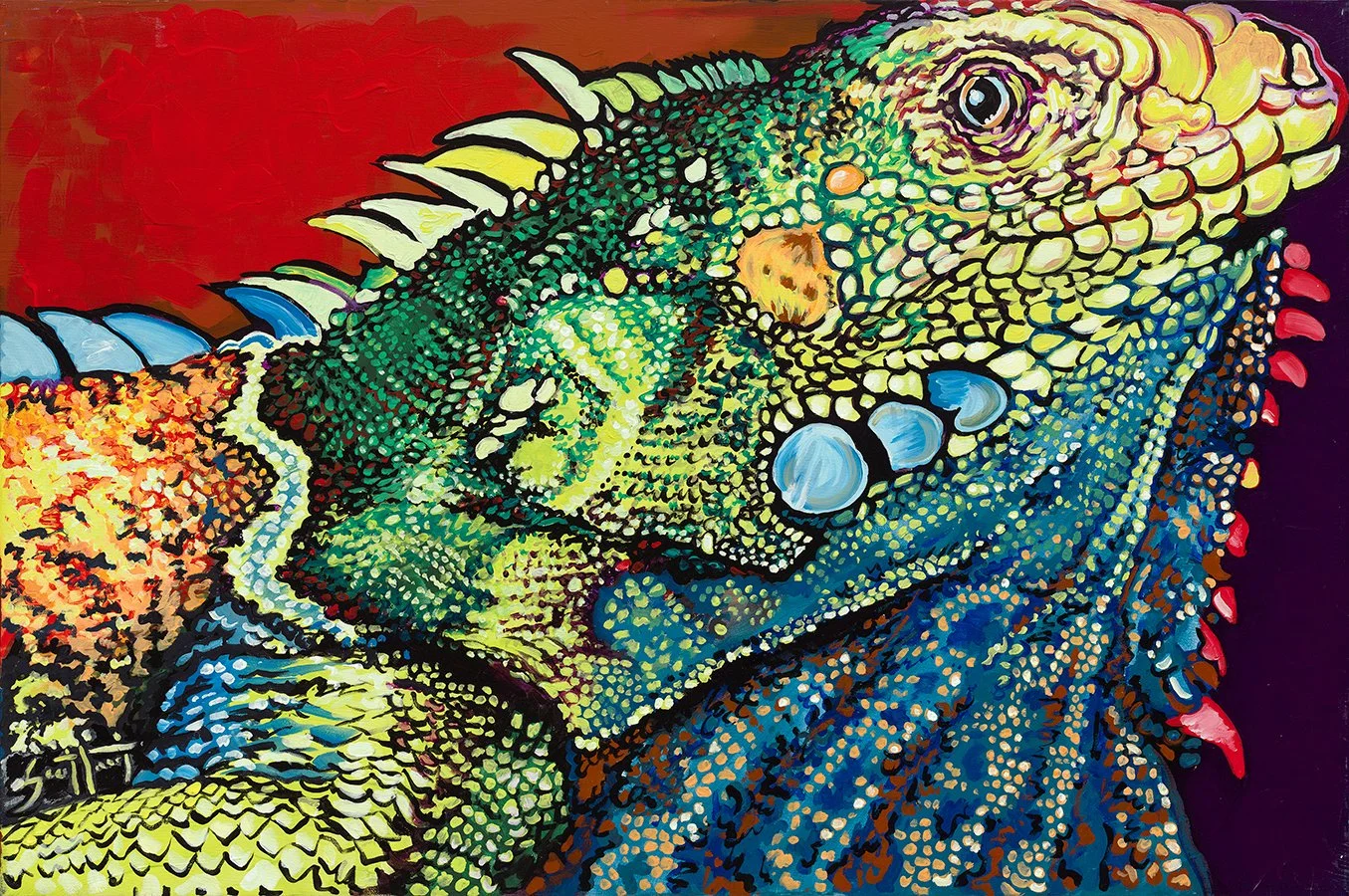 Iguana - Giclee Canvas Wrap - 24 X 30"