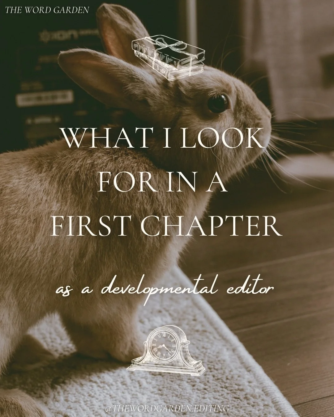 What I look for in a first chapter (as a developmental editor)🖋️📄

I don&rsquo;t expect a first chapter to do everything and it&rsquo;s doesn&rsquo;t need to be perfect, but here are some things I look for that will make readers keep turning the pa