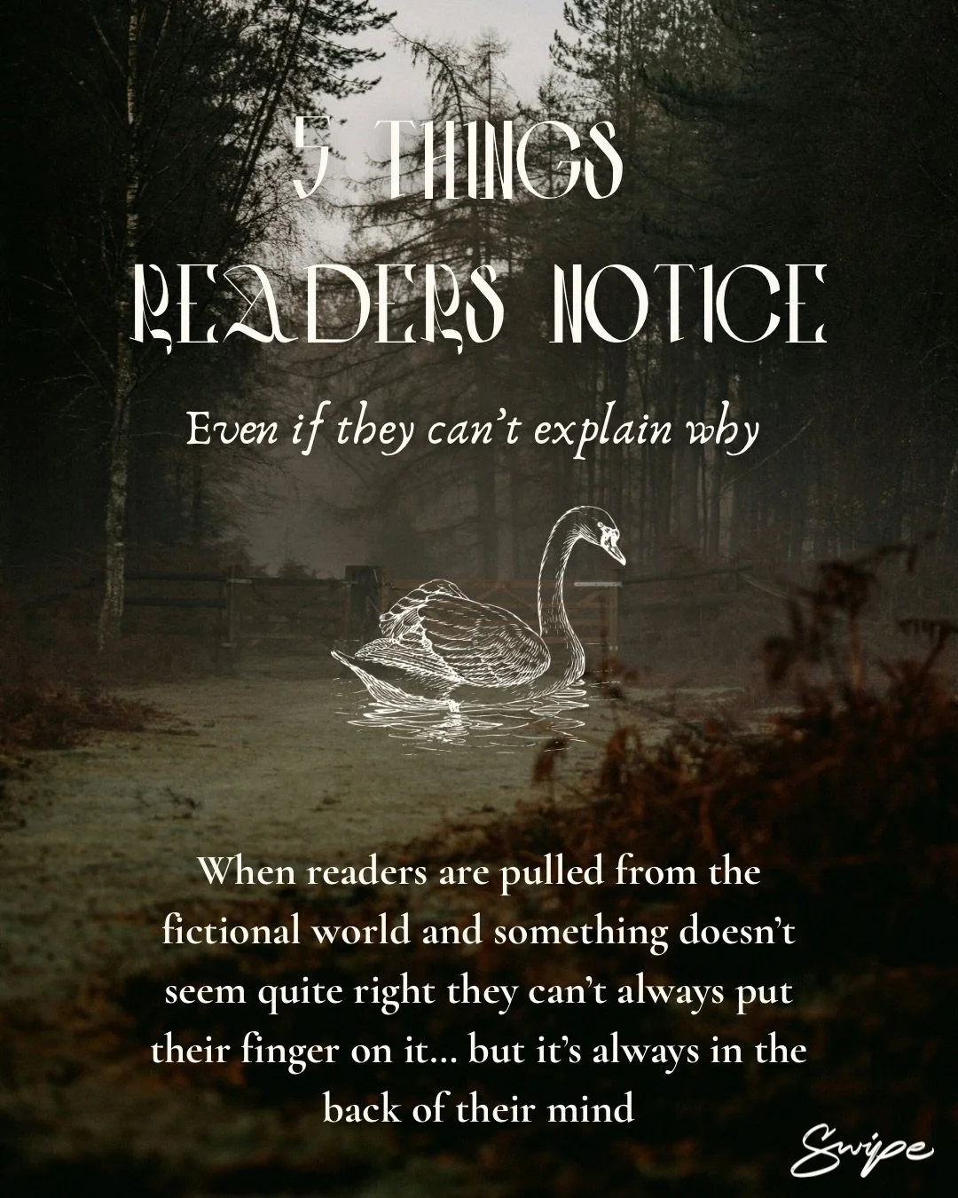 As a developmental and line editor, these are things I look out for when editing your manuscript - and now you can too! 💫

Readers are sometimes pulled out of the story by these minor details even if they can&rsquo;t exactly place why it was distrac