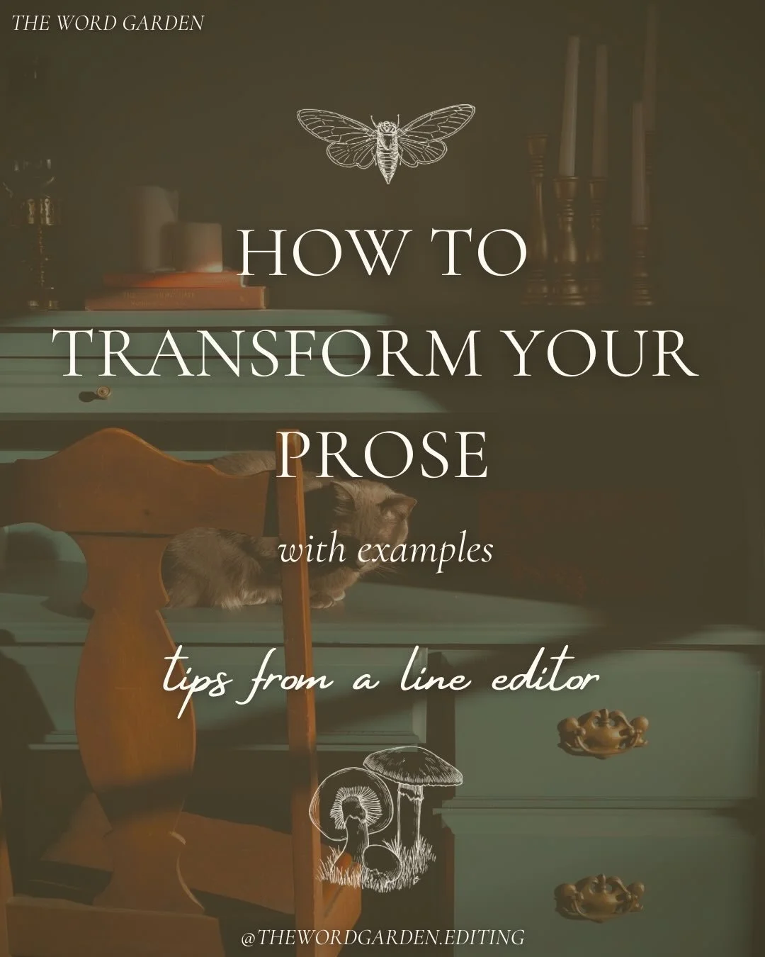 🌟How to transform your prose🌟 with examples!

Here are a few short tips and examples sentences on how to transform a sentence to be more immersive.🌿

Note: When editing, I do not change your words and if I make big suggestions like this, they will