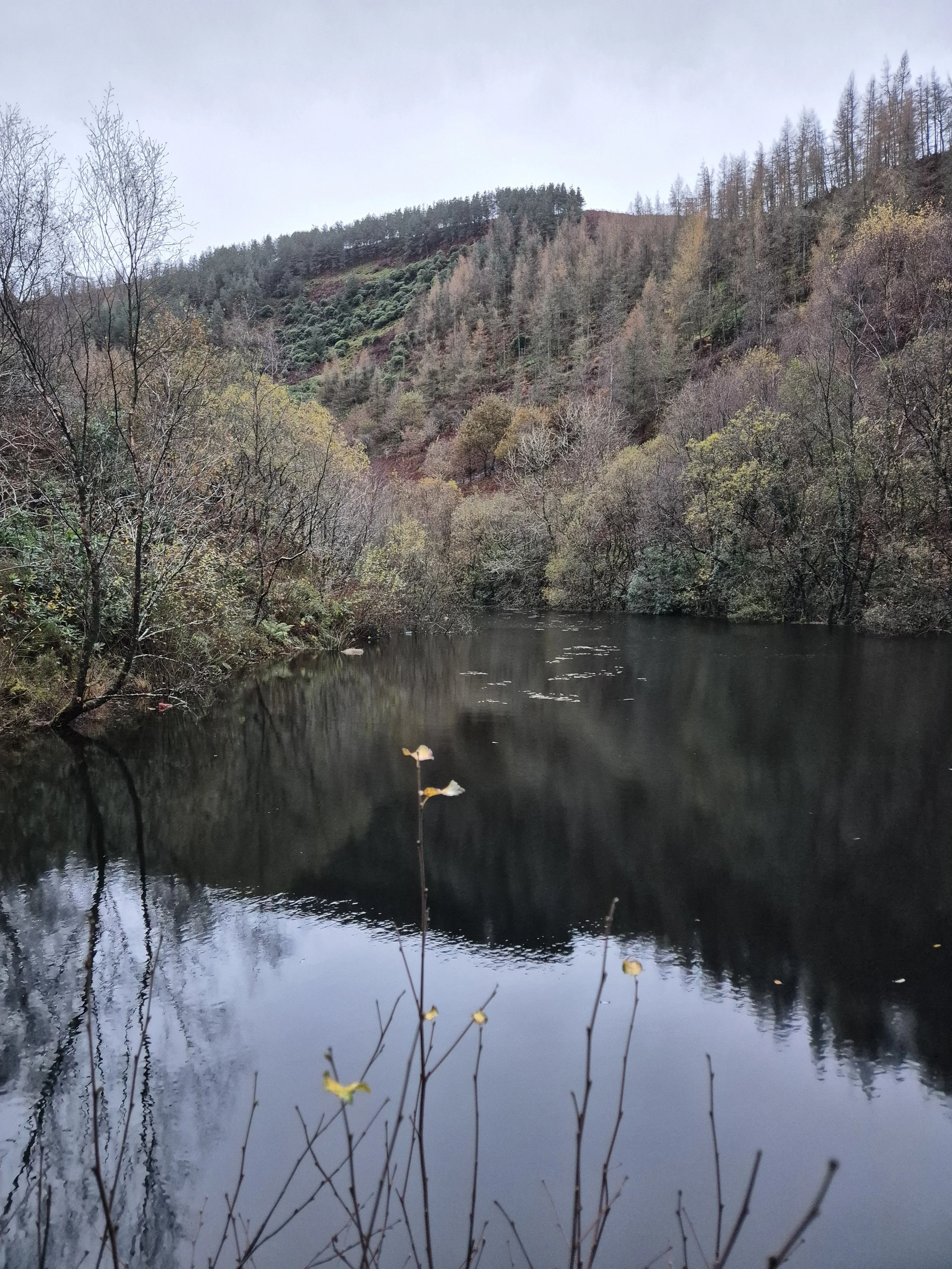 Cynefin Business Case, Wales