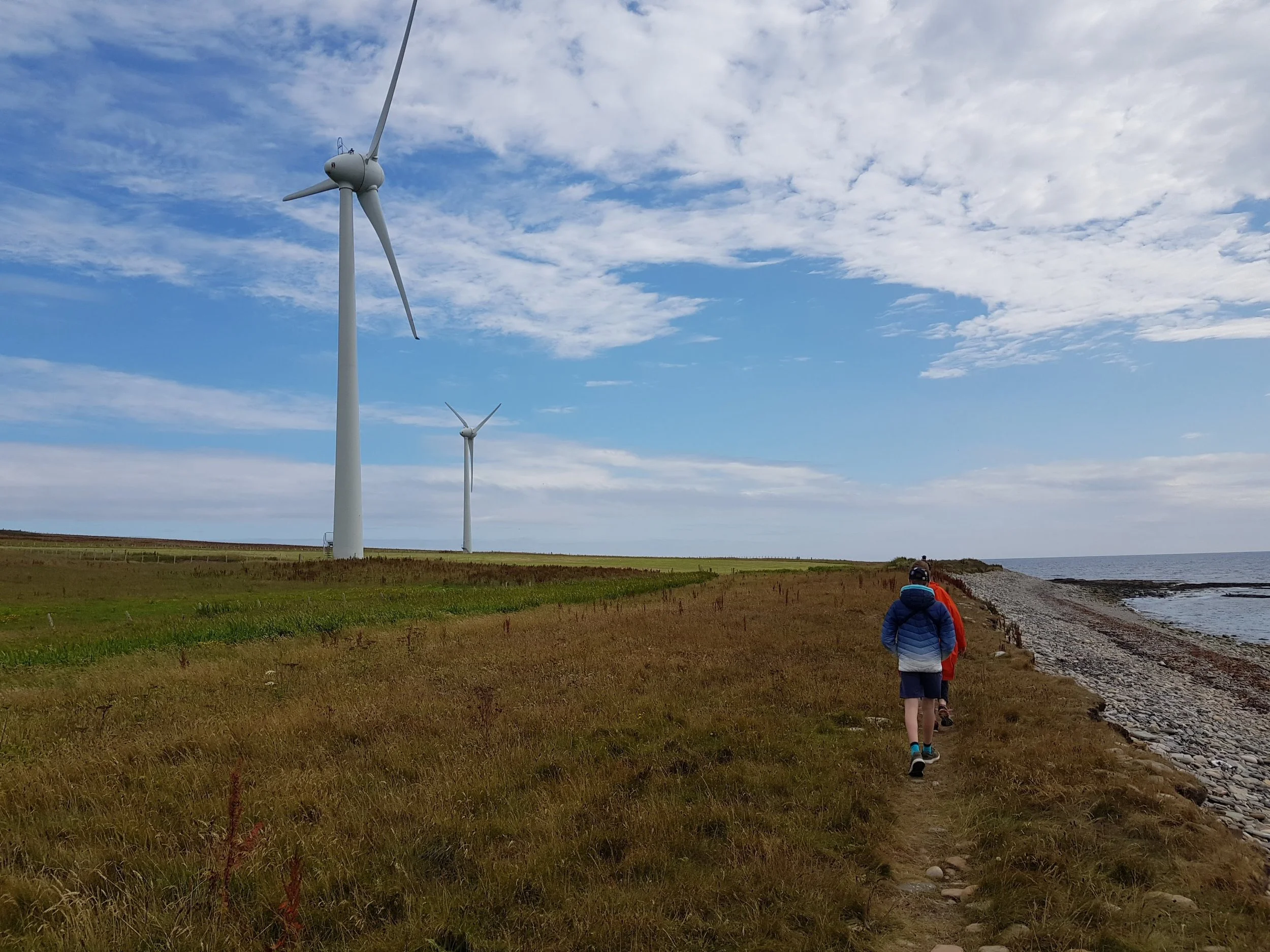 Dengie Marsh Wind Farm, Essex