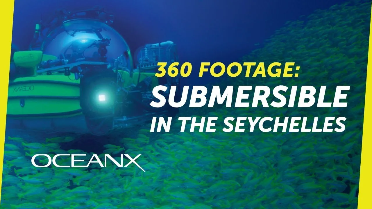 Submersible Engulfed by Schooling Fish | OceanX