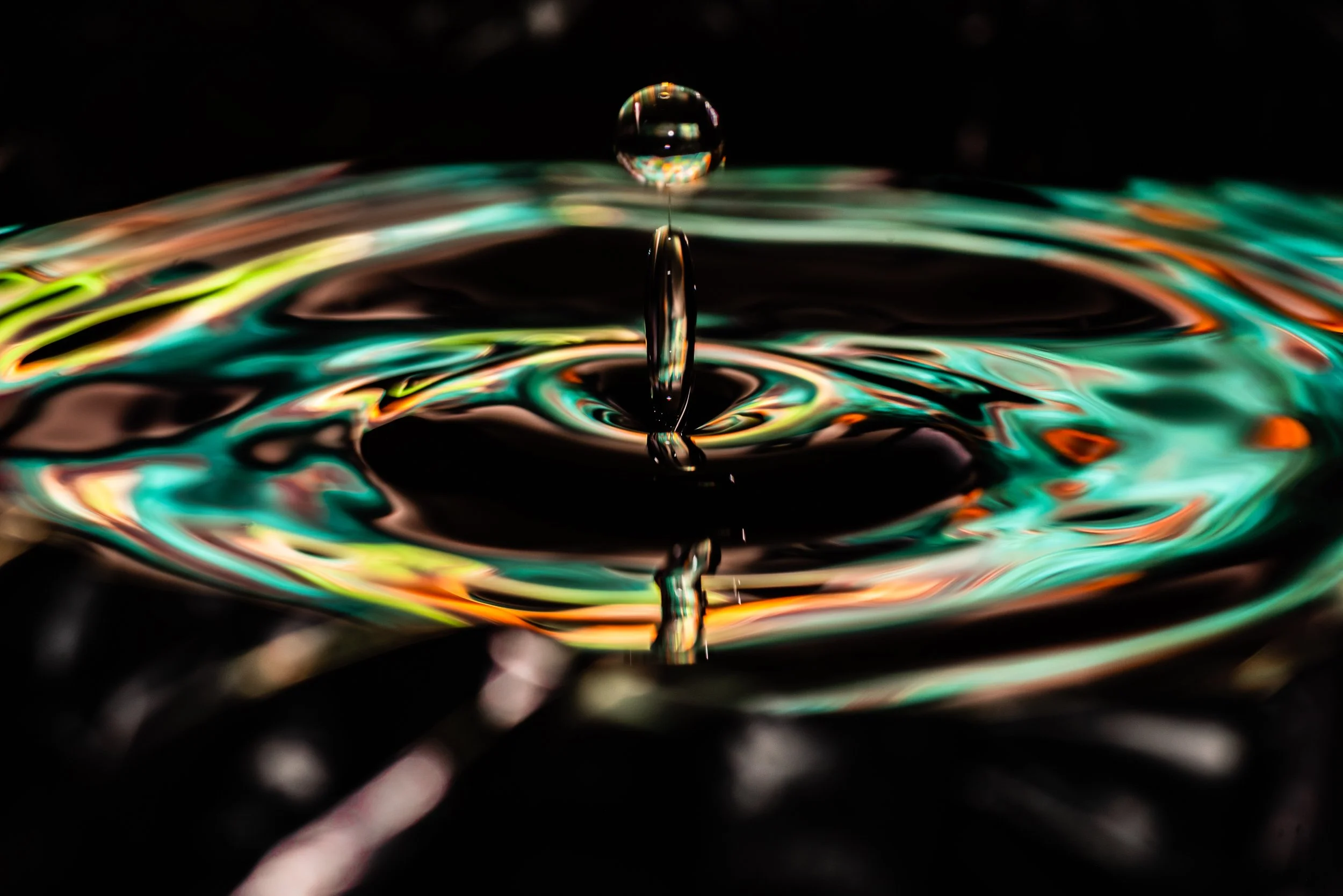 Portfolio-Nature-5.jpg