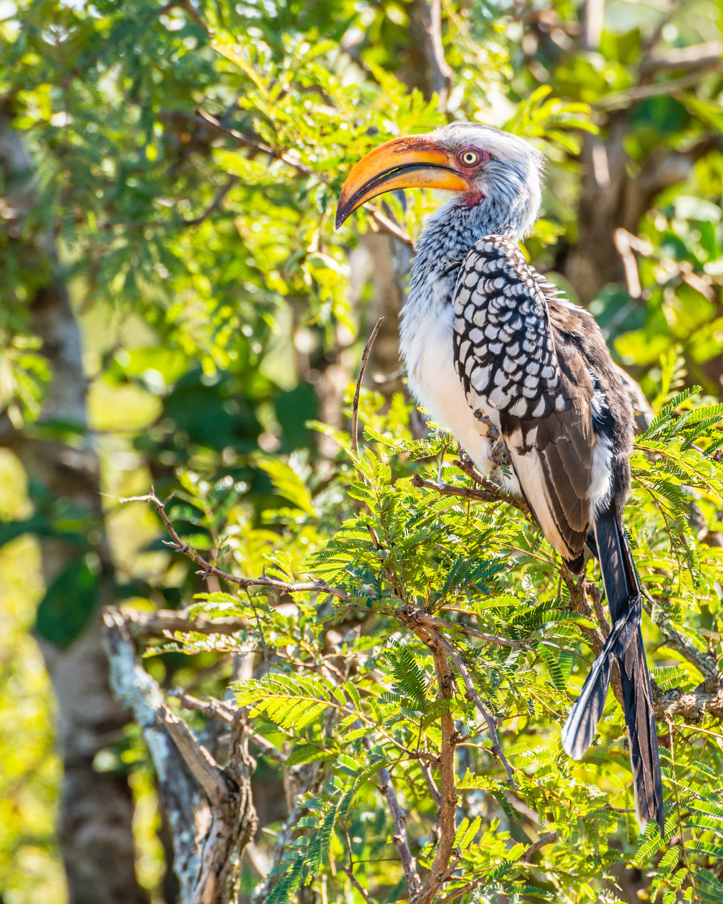 Portfolio-Nature-19.jpg