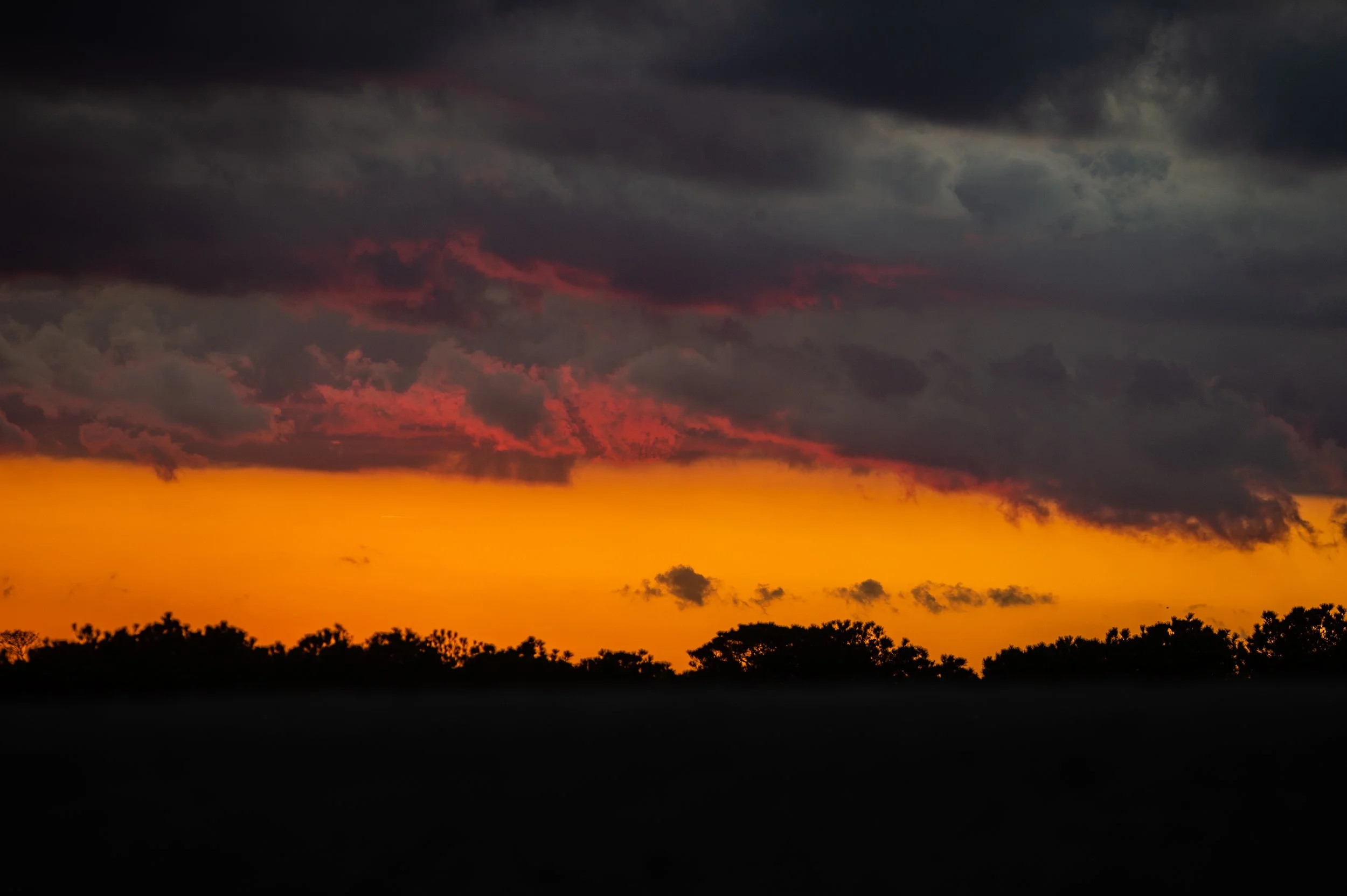 Portfolio-Nature-13.jpg