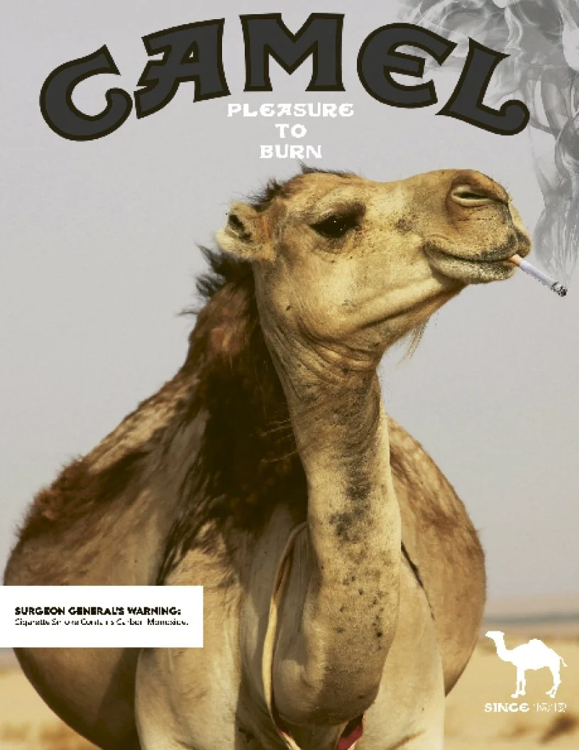 Teahen_ Magazine_FINAL9.jpg