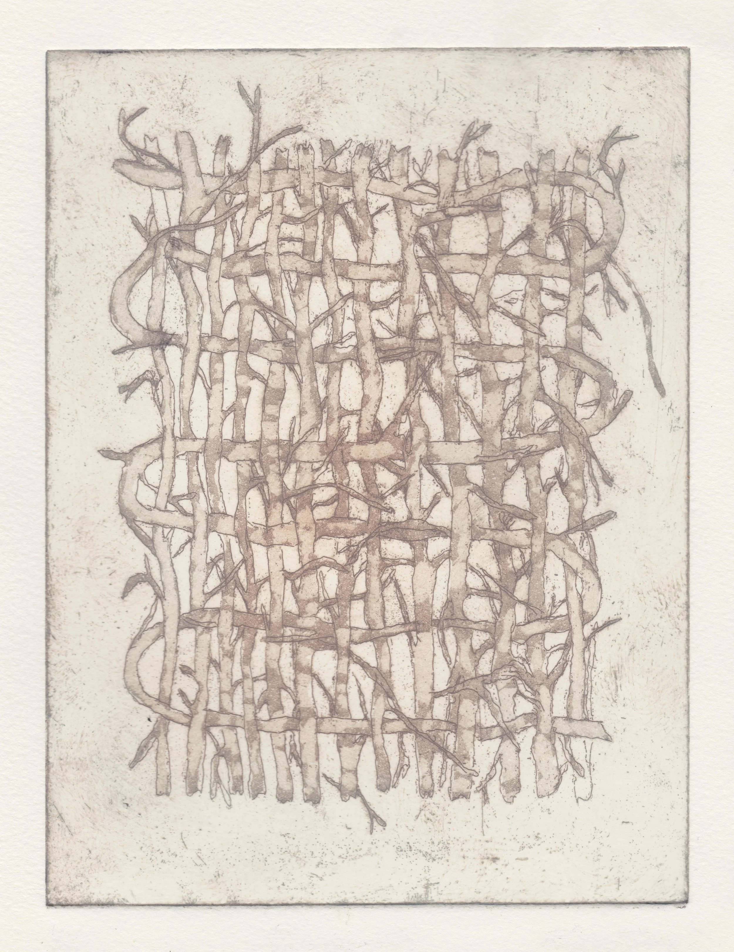Image of a print titled The Weave