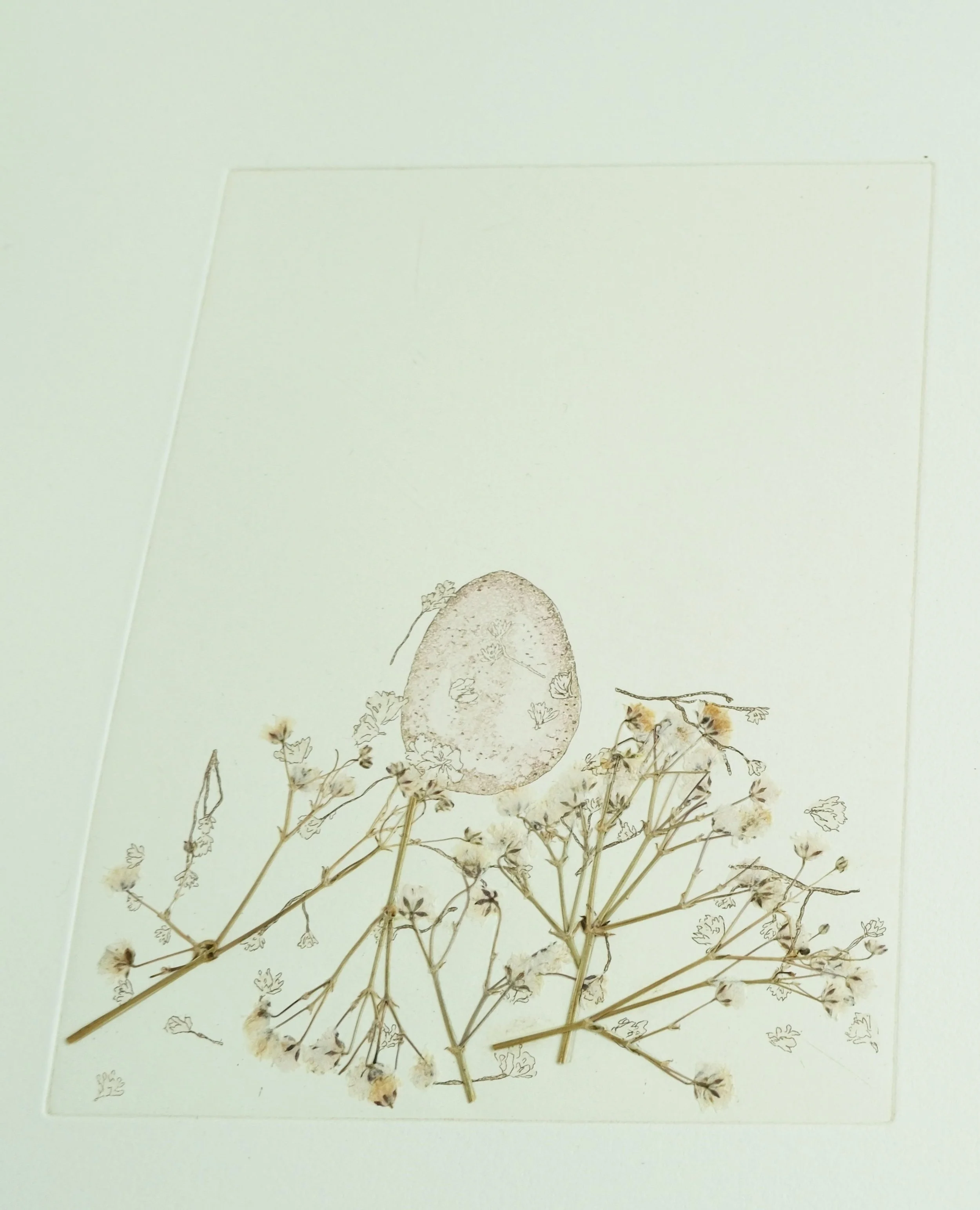 Close Up Image of a Print titled Family Nest.