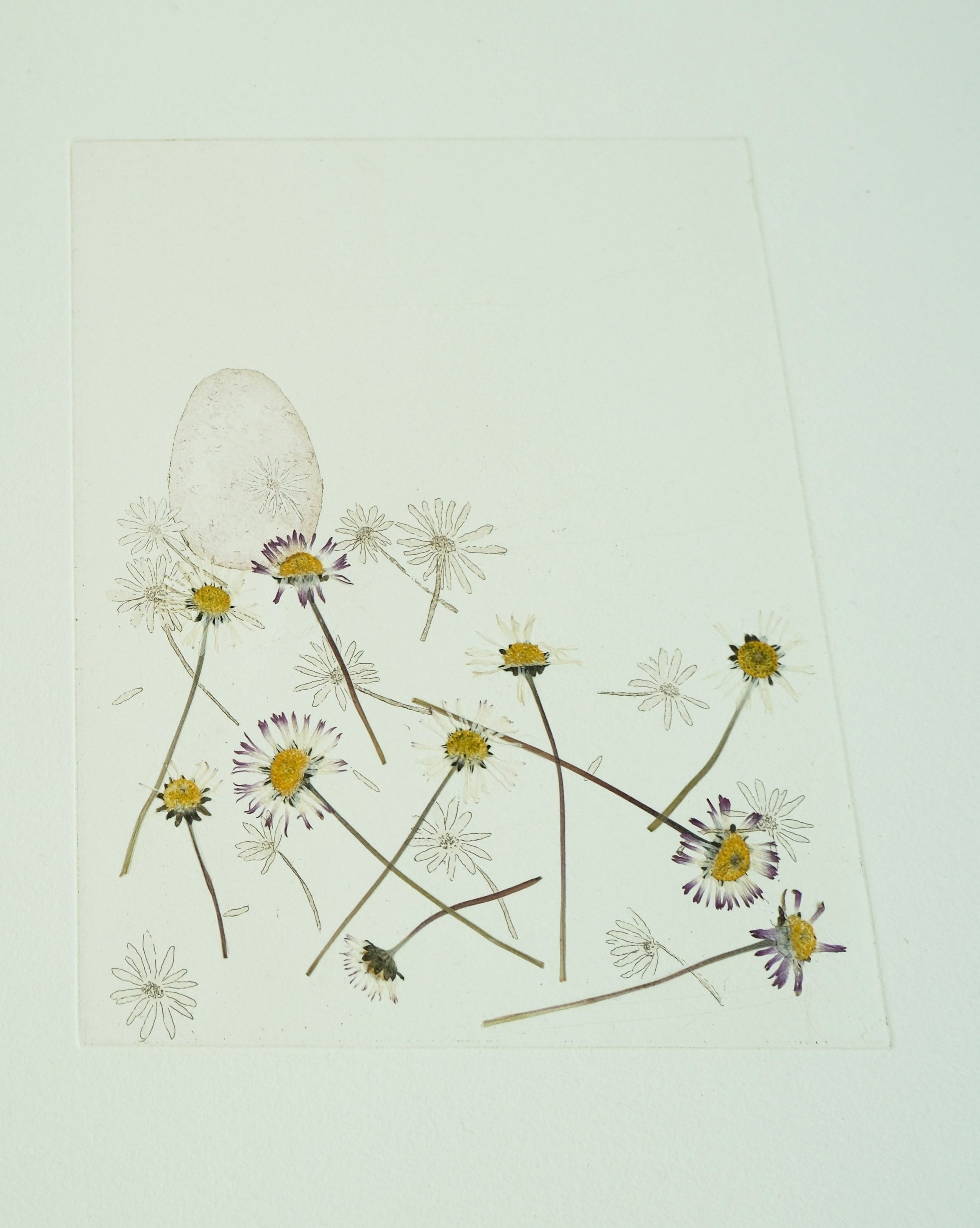 Close Up Image of a Print titled Family Nest.