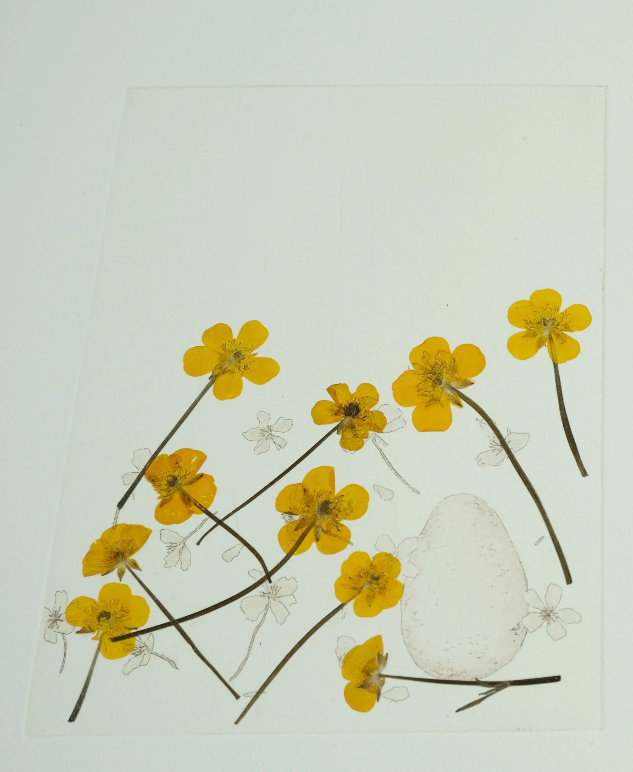 Close Up Image of a Print titled Family Nest.