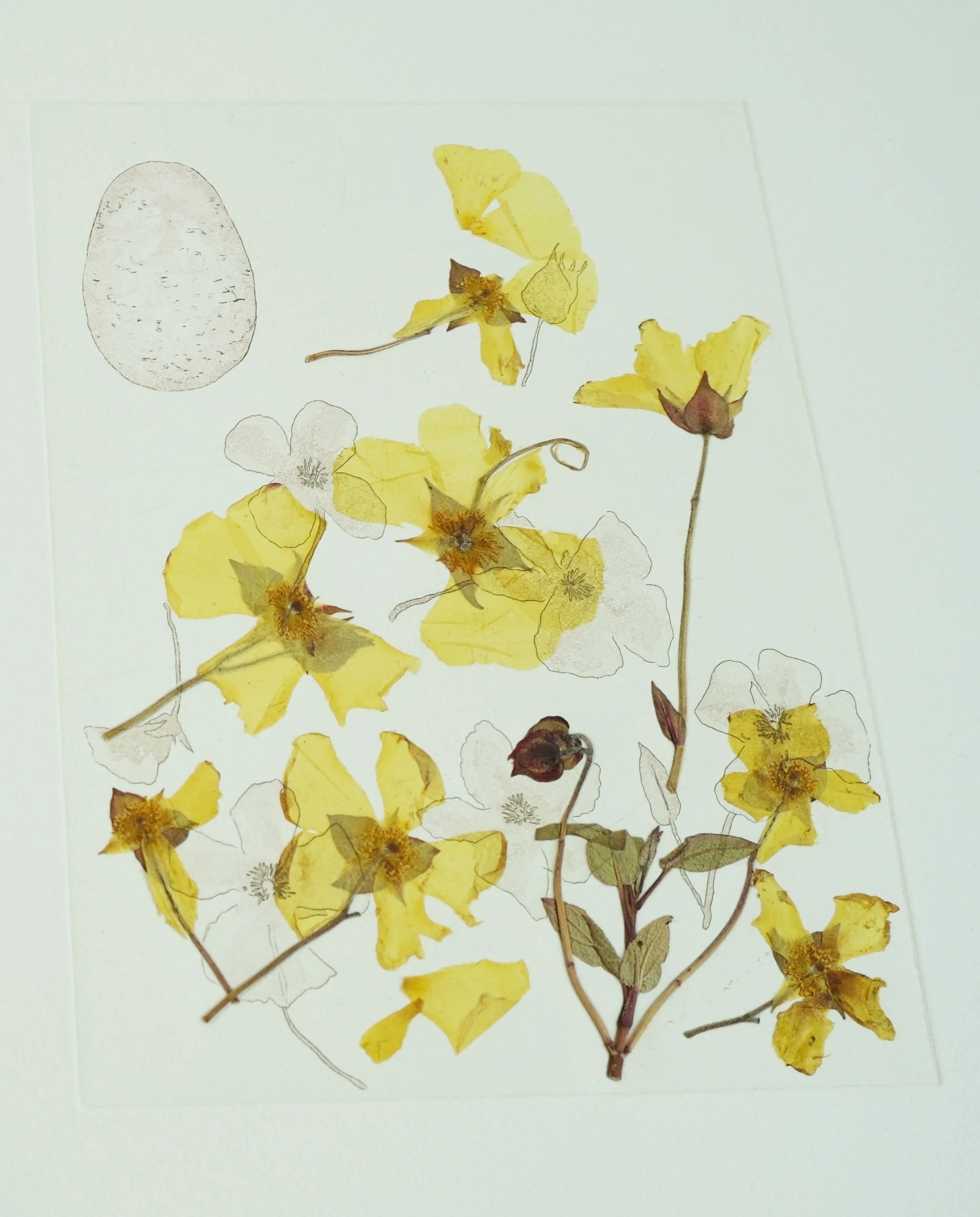 Close Up Image of a Print titled Family Nest.