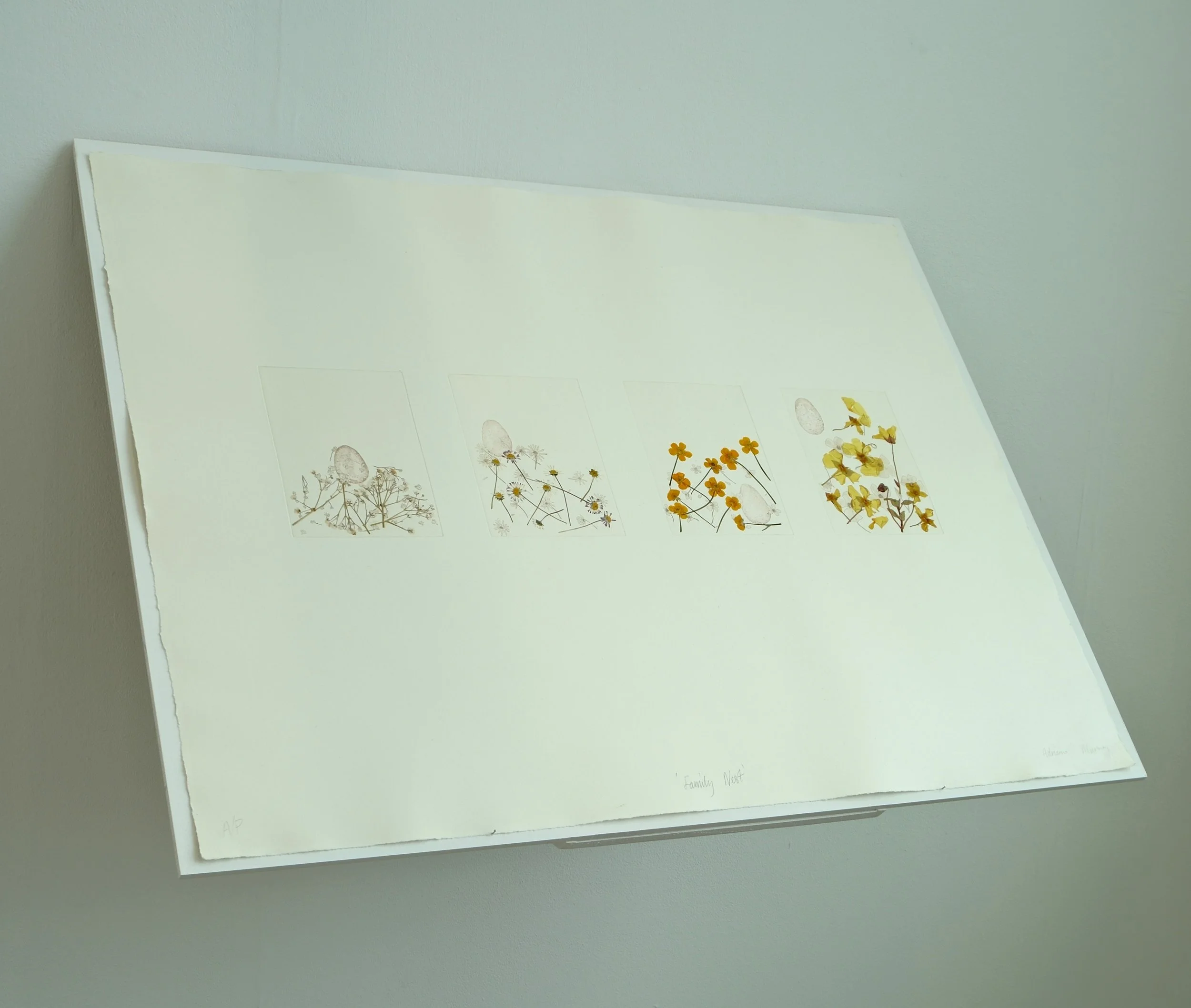 Image of a Print titled Family Nest.