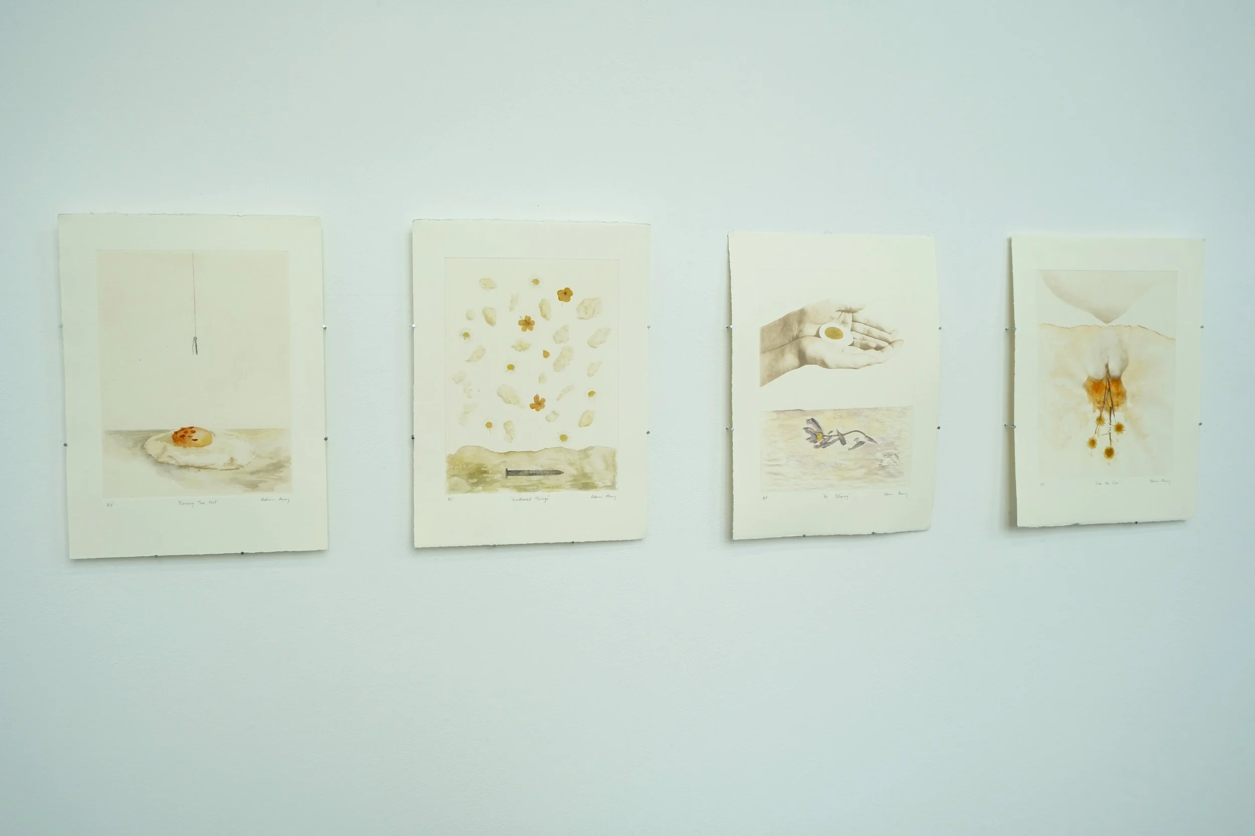 Image of a series of prints titled The Egg prints.