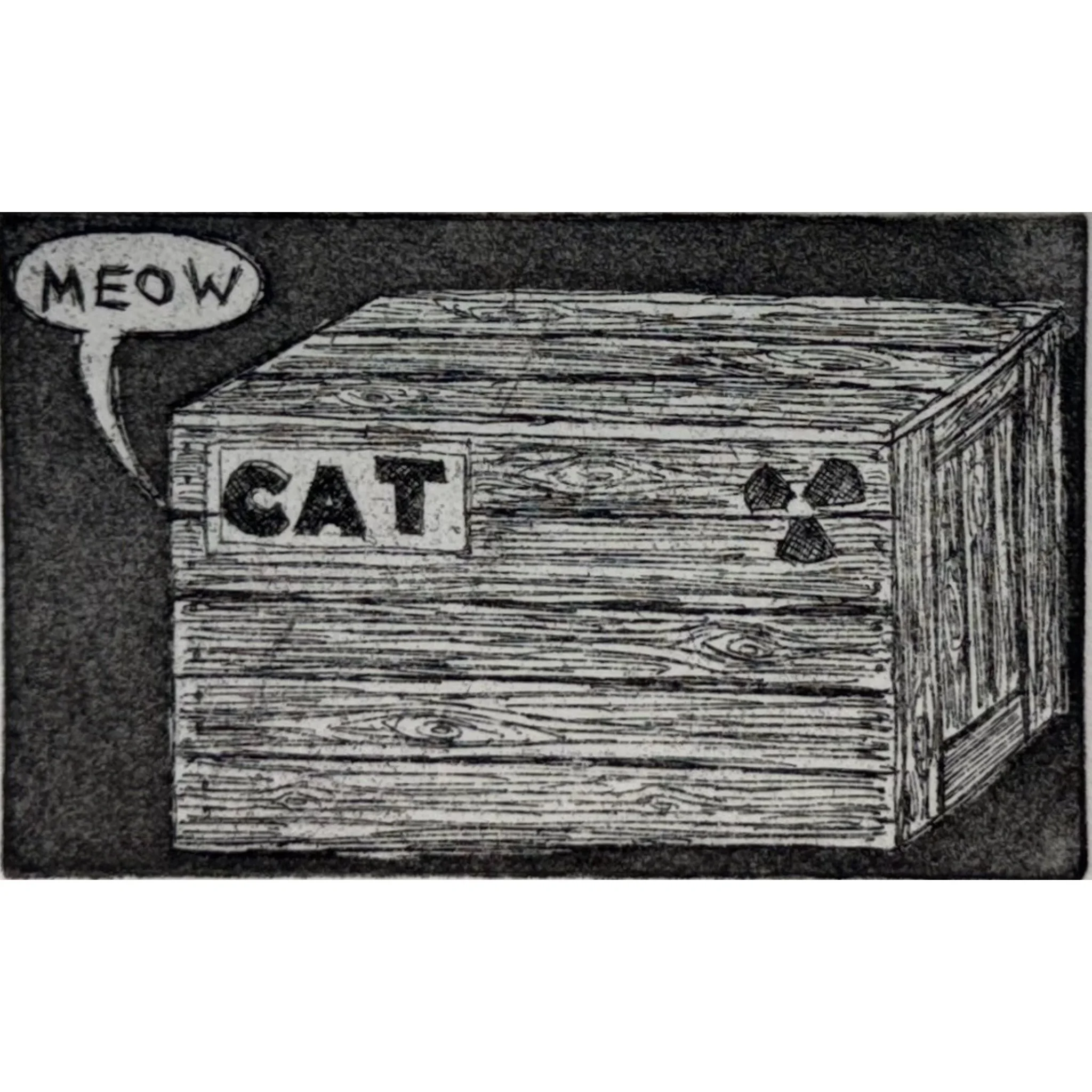 "So We Do Know" - Schrödinger’s cat has always fascinated me, but I have had to explain this pun quite a lot. It turns out that not everyone’s curiosity has been grabbed by this particular cat. 