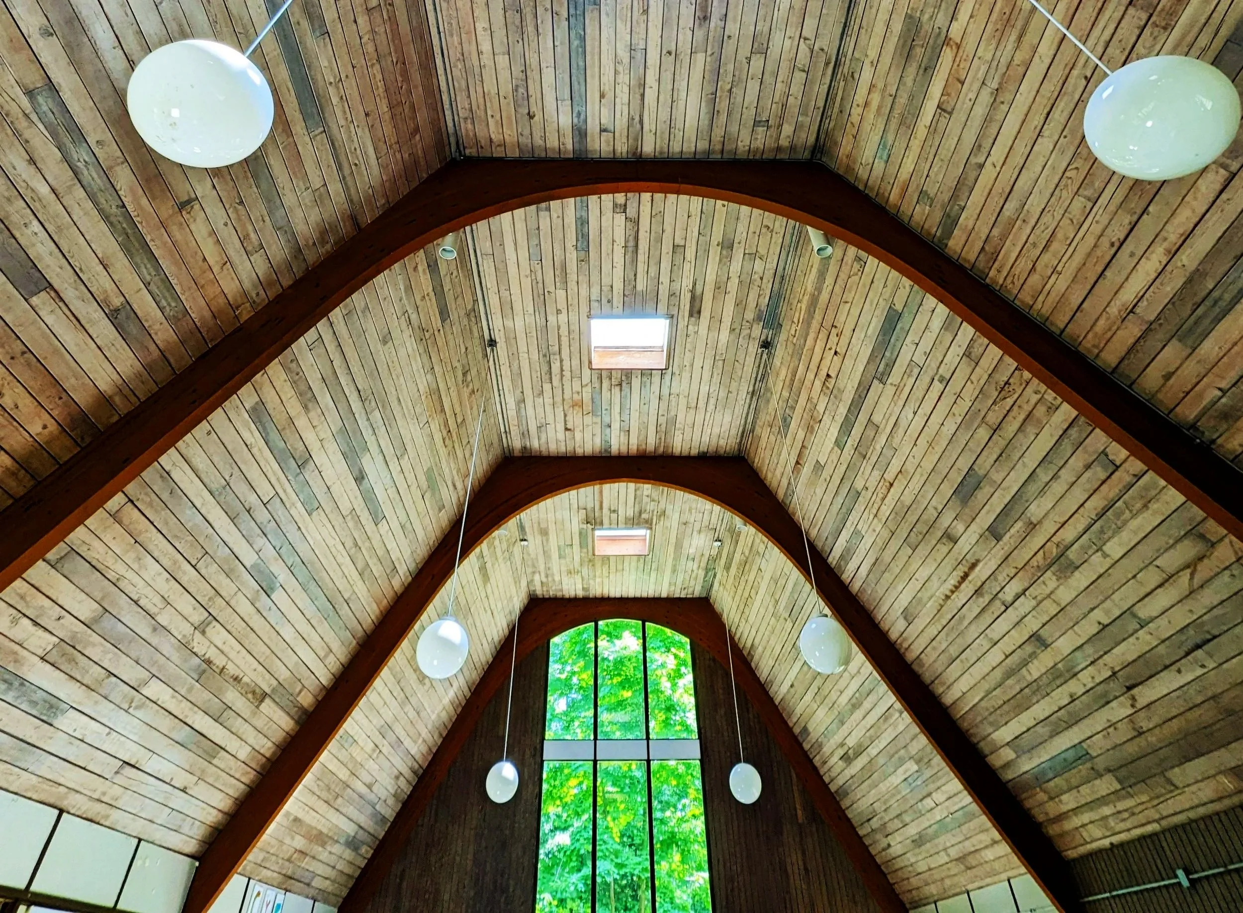 PXL_20230605_172357713%7E2.jpg