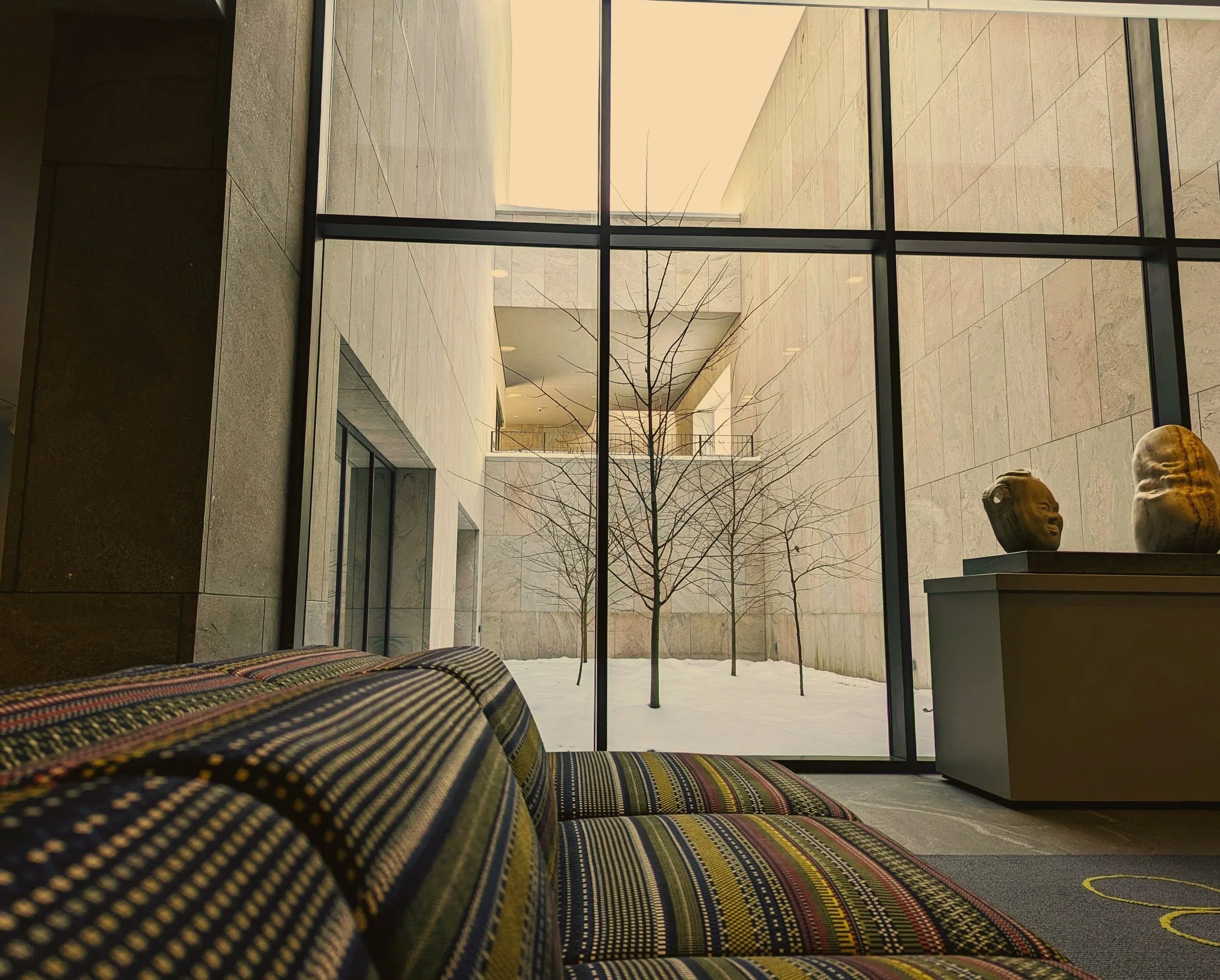 PXL_20230204_203728620.jpg