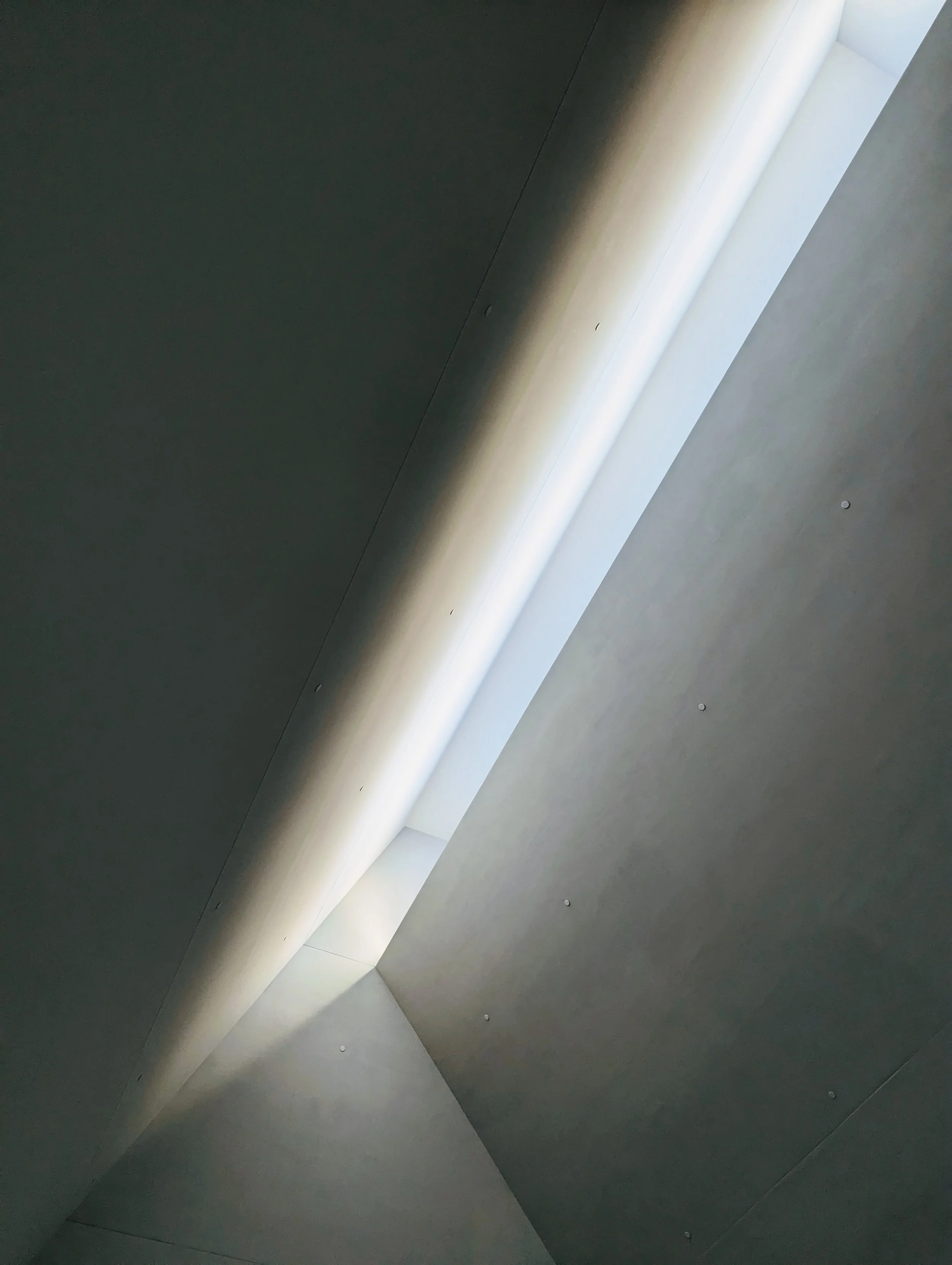 PXL_20230314_234806941.jpg