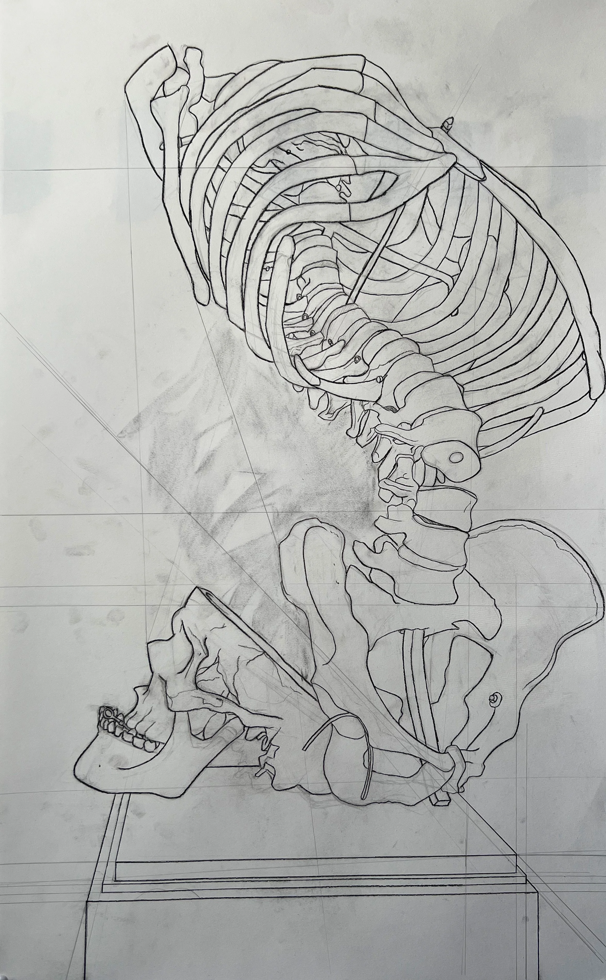 Skeleton and Skull.jpg