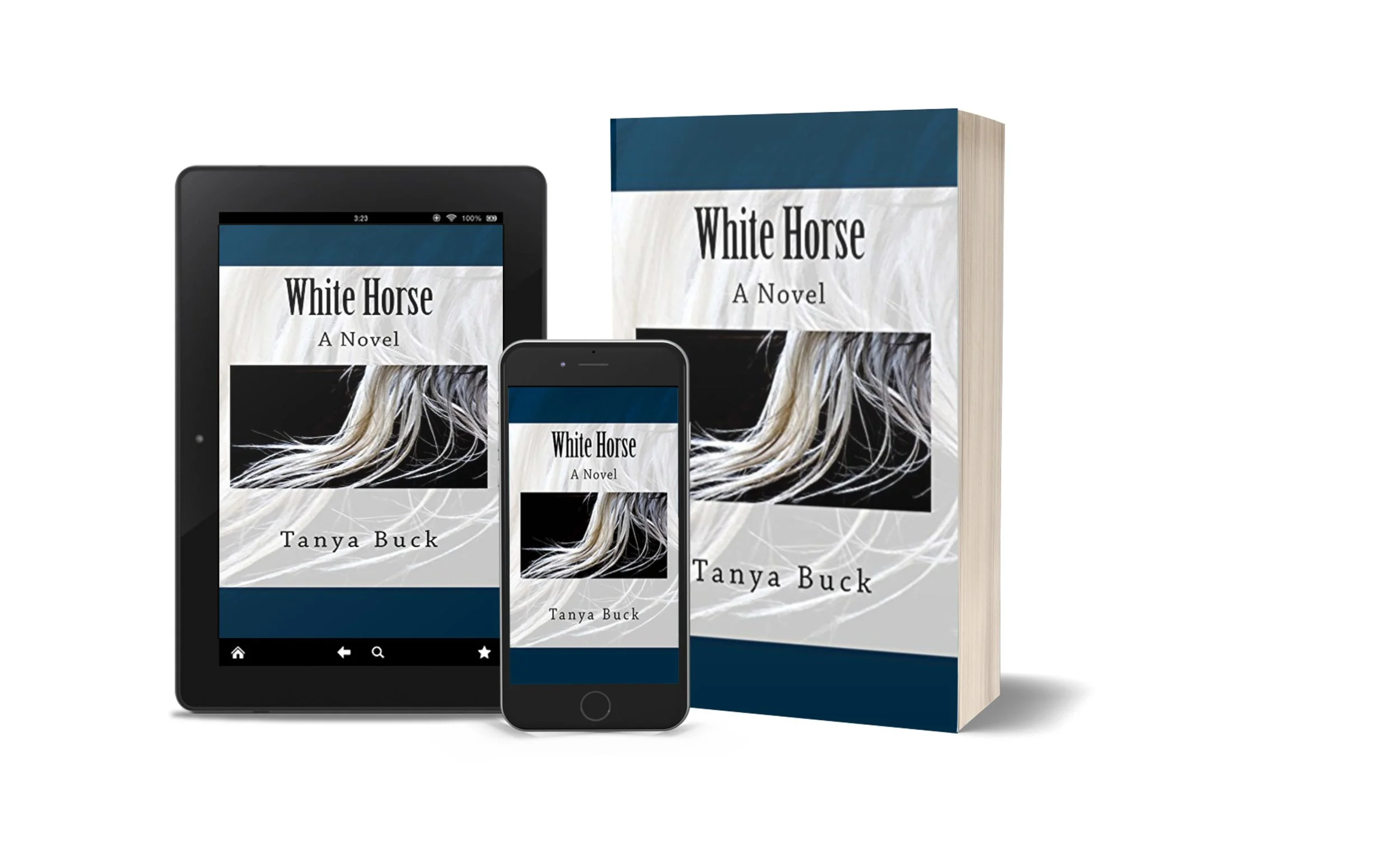White Horse, a time travel suspense novel