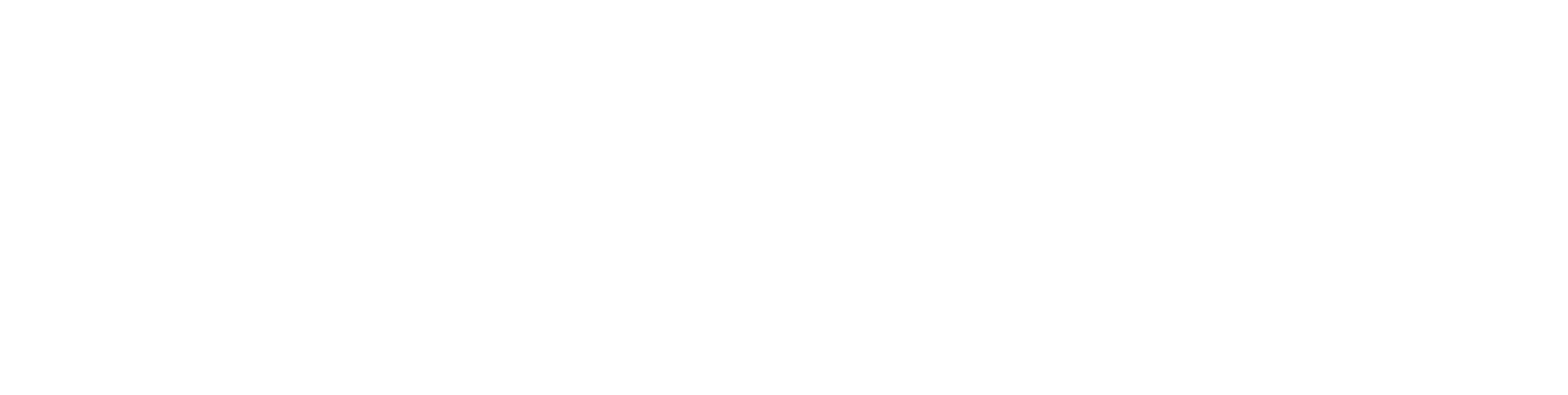 Master Cycle advanced Gracie Jiu-Jitsu program logo