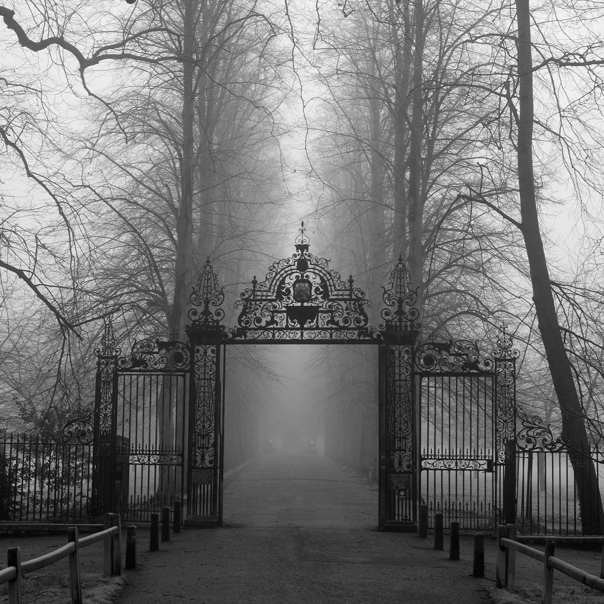 cambridge