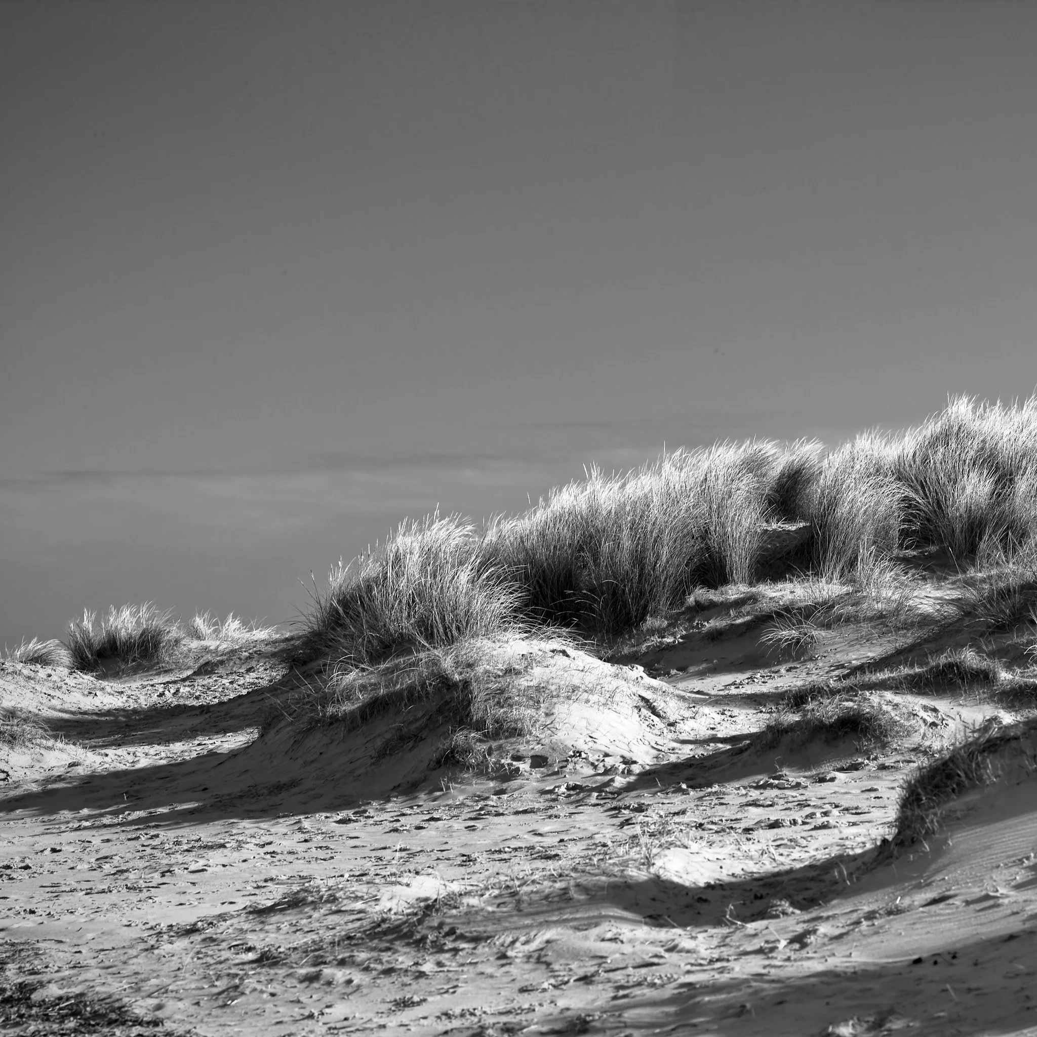 norfolk