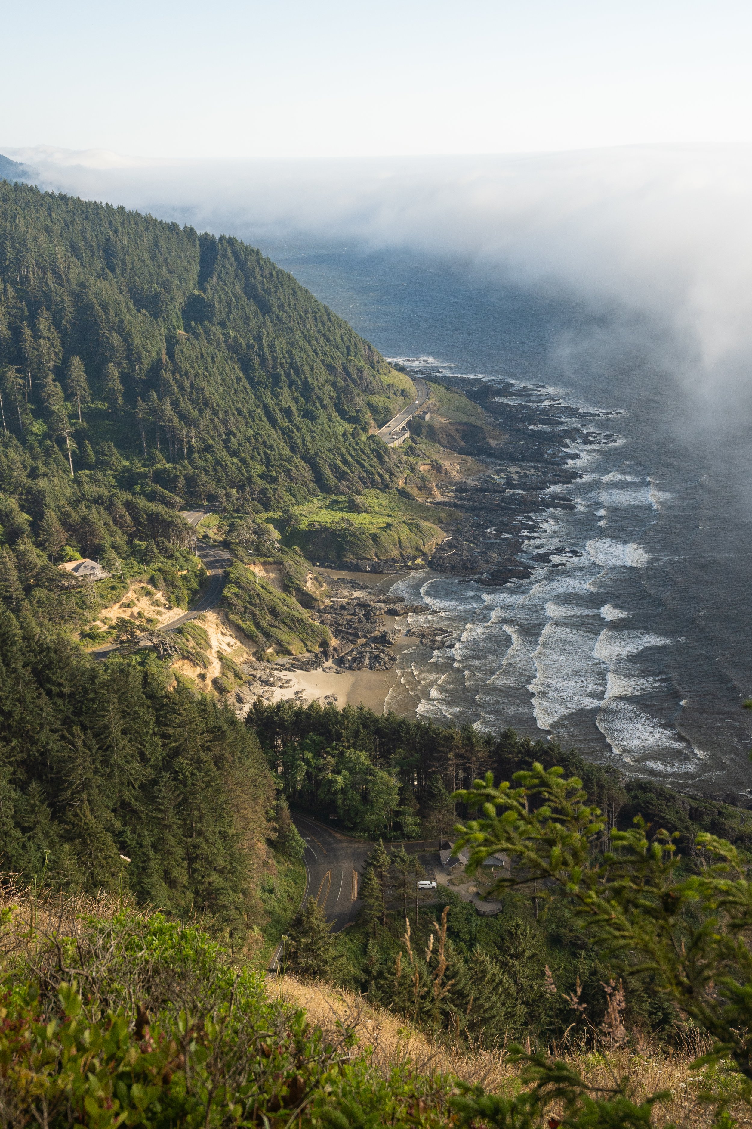Cape Perpetua Coast - Credit - Sterling DePaul.jpg